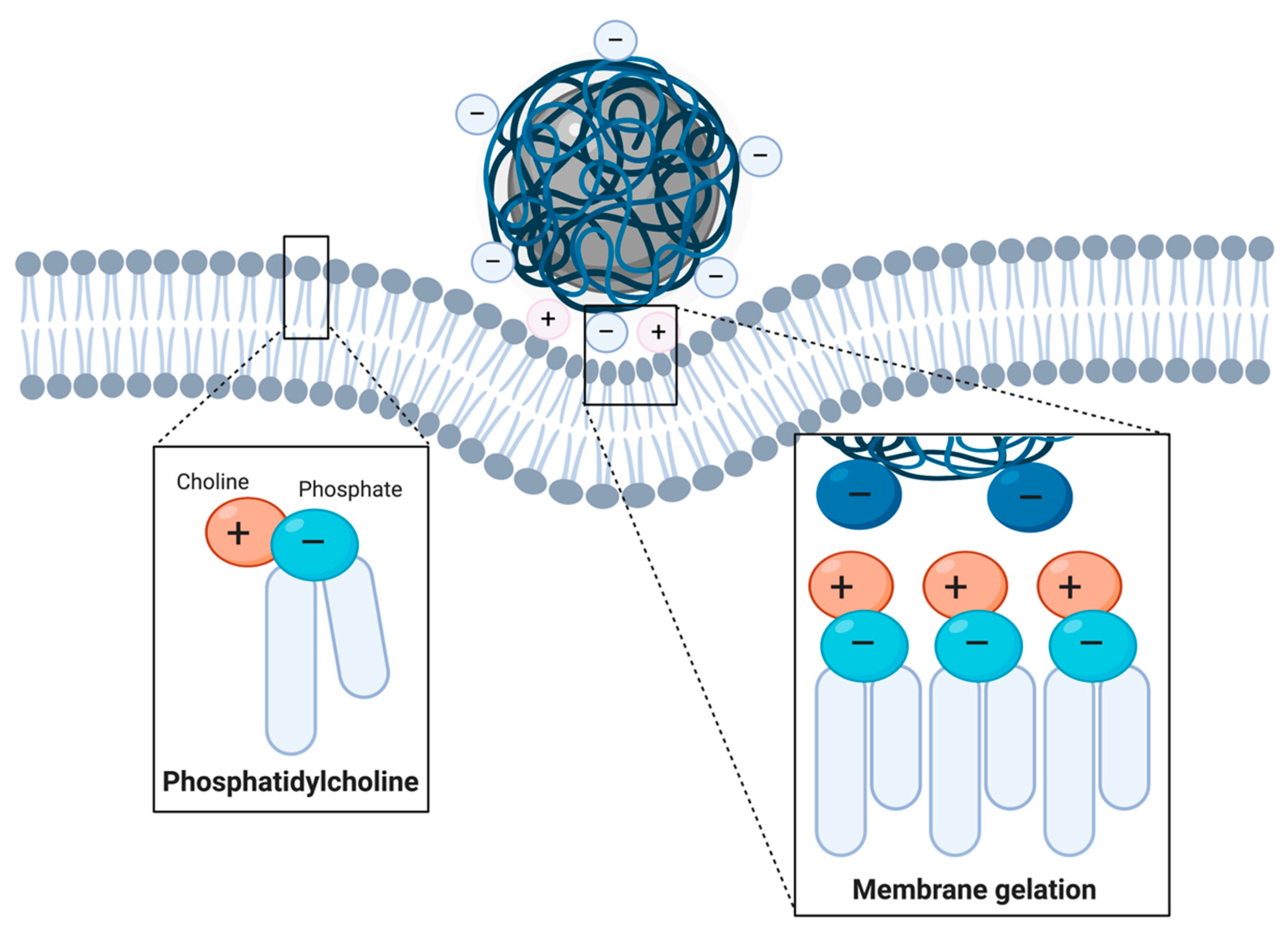 Nanomaterials 10 01816 g003