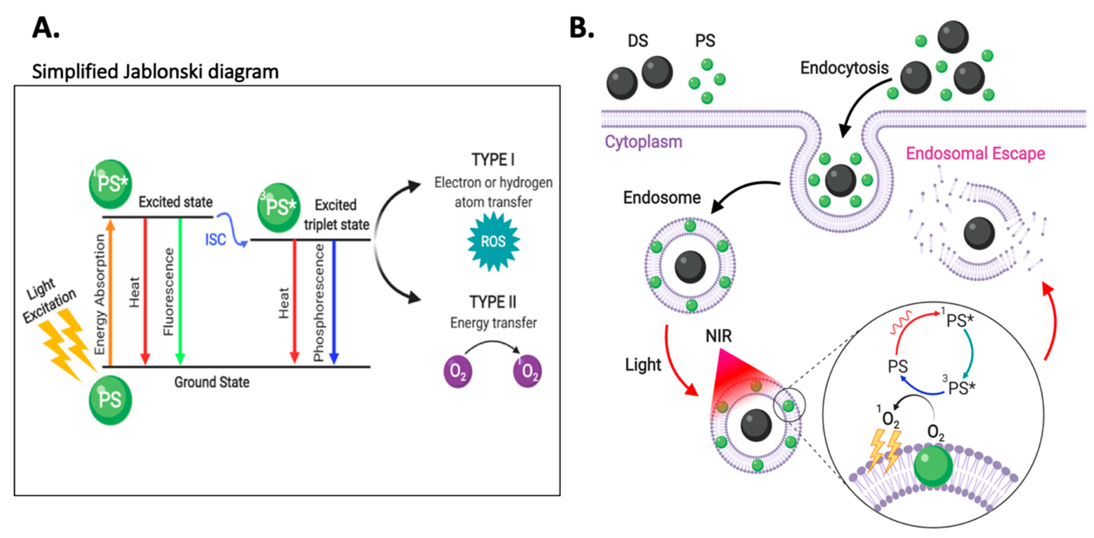 Nanomaterials 10 01816 g008