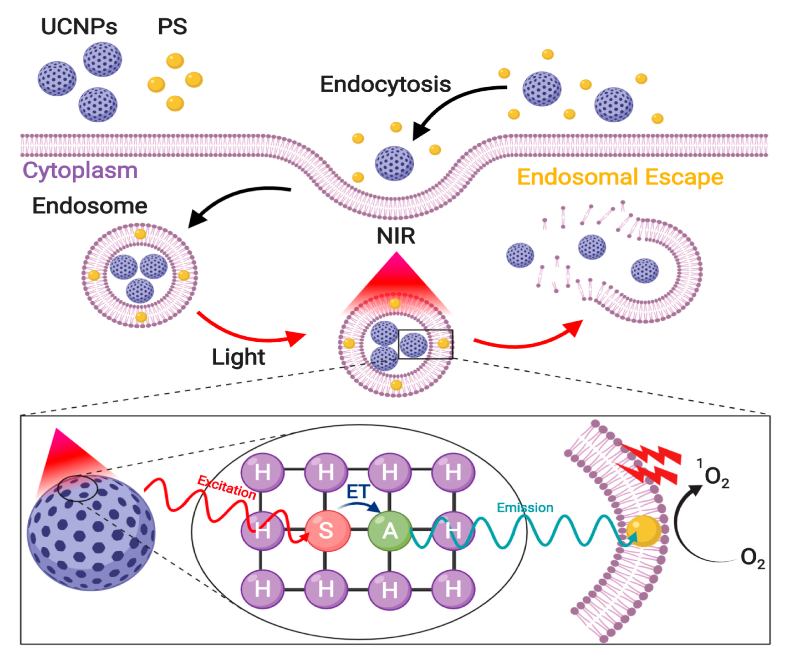 Nanomaterials 10 01816 g009