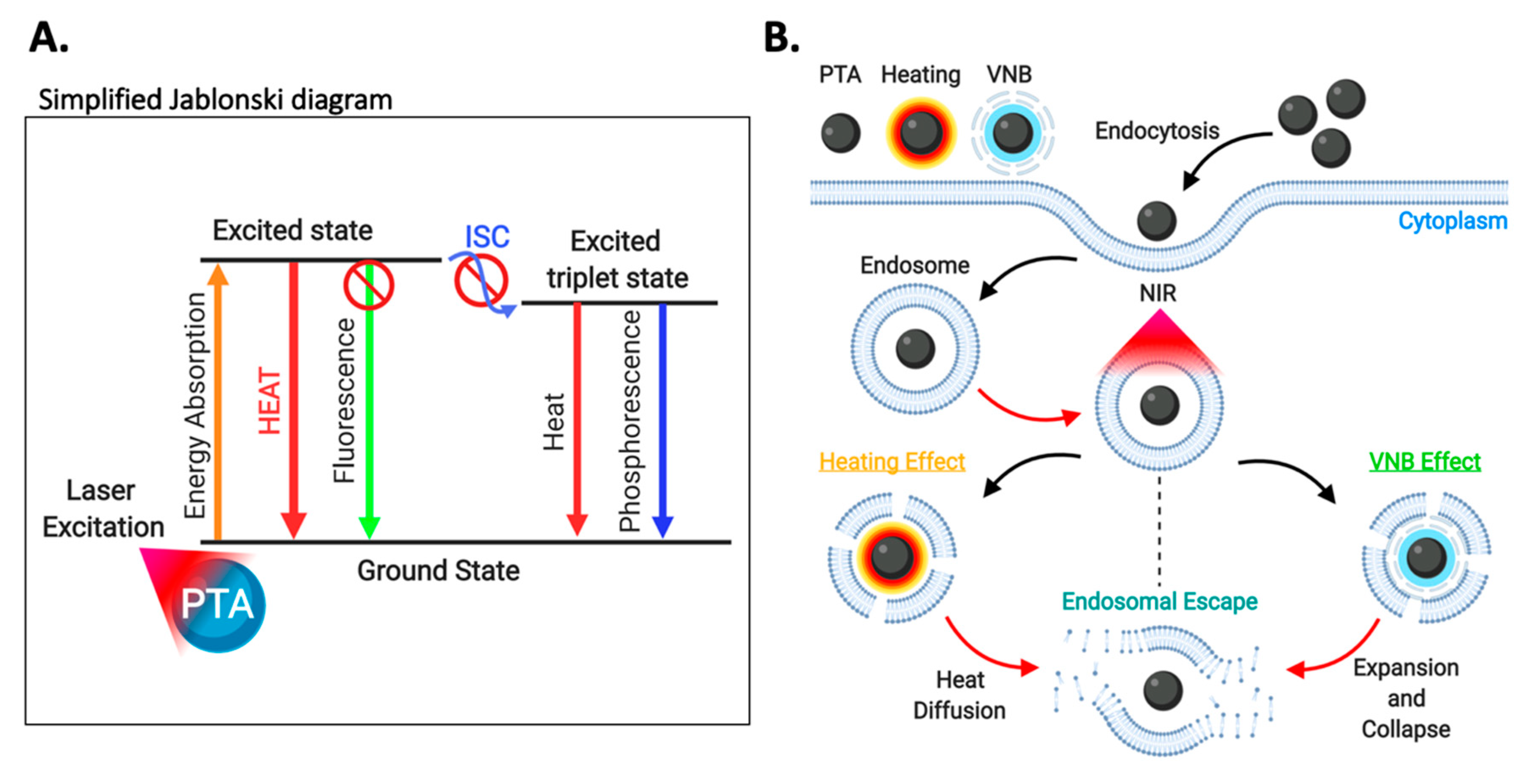 Nanomaterials 10 01816 g010