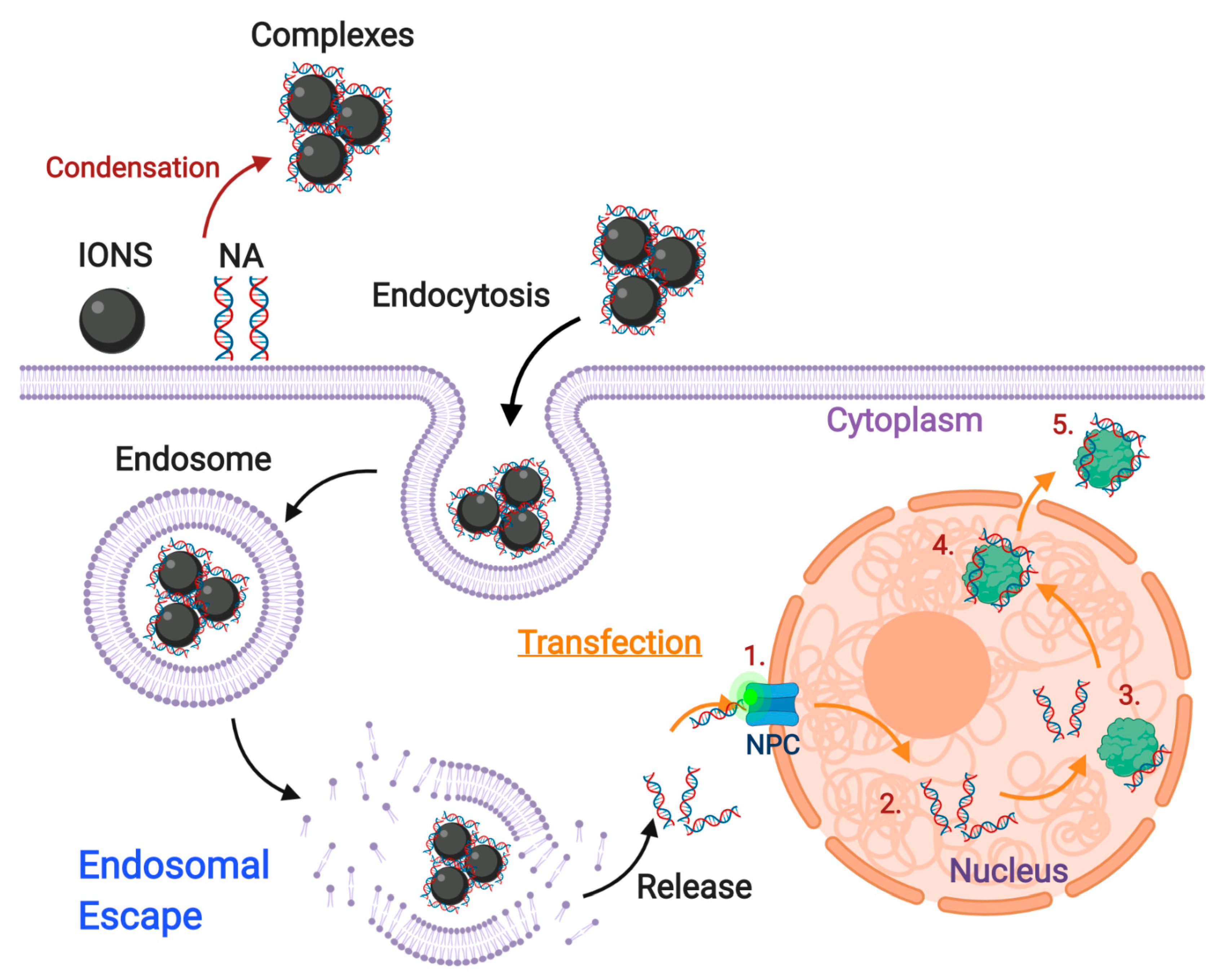 Nanomaterials 10 01816 g011