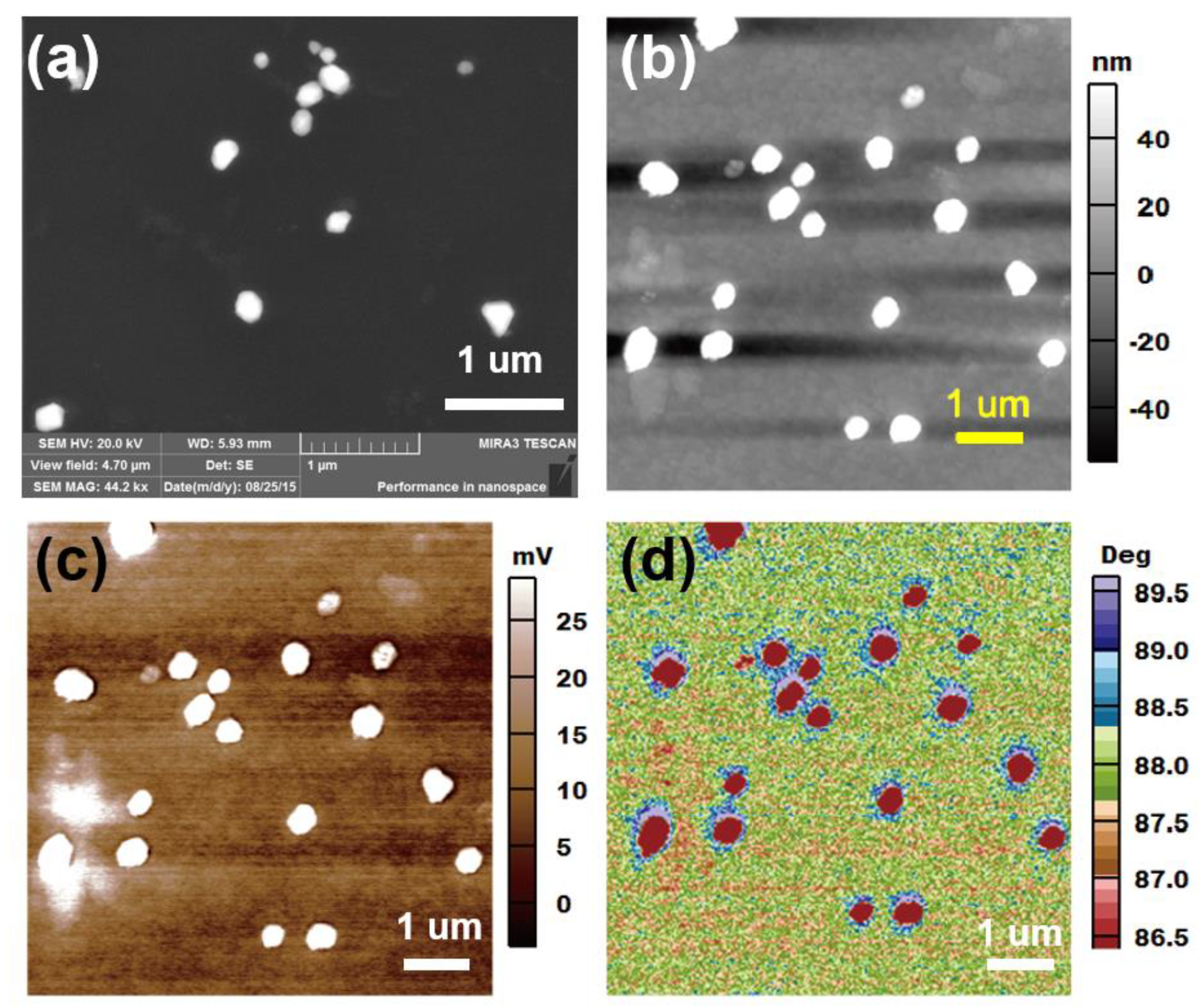 Nanomaterials 10 01819 g001