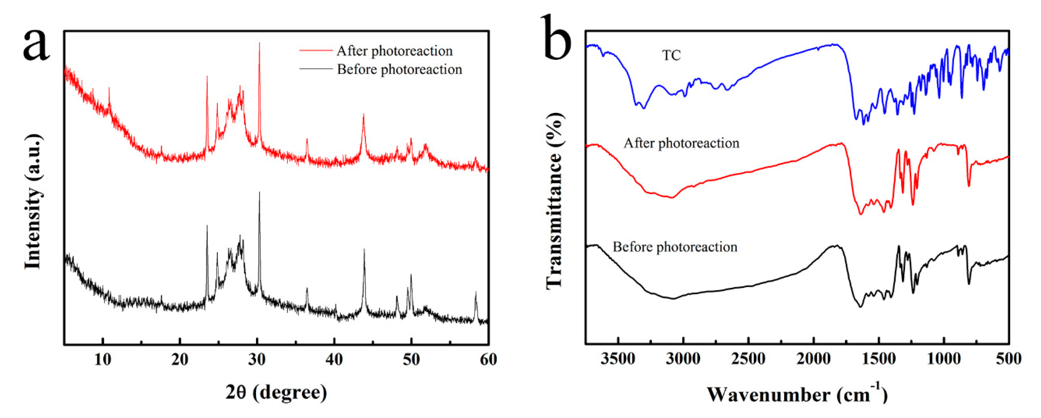 Nanomaterials 10 01824 g006