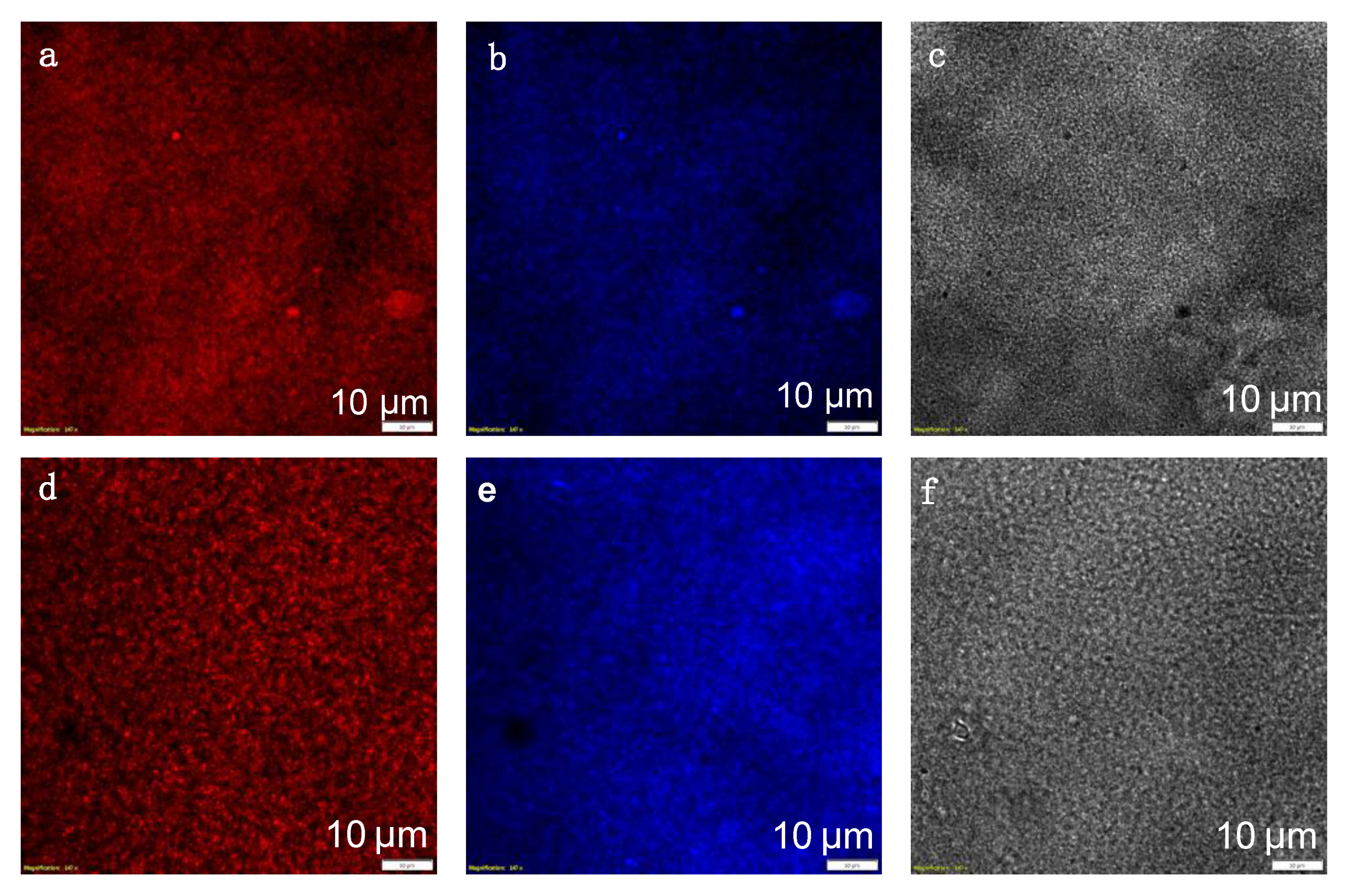 Nanomaterials 10 01840 g004 Nanomaterials 10 01840 g004
