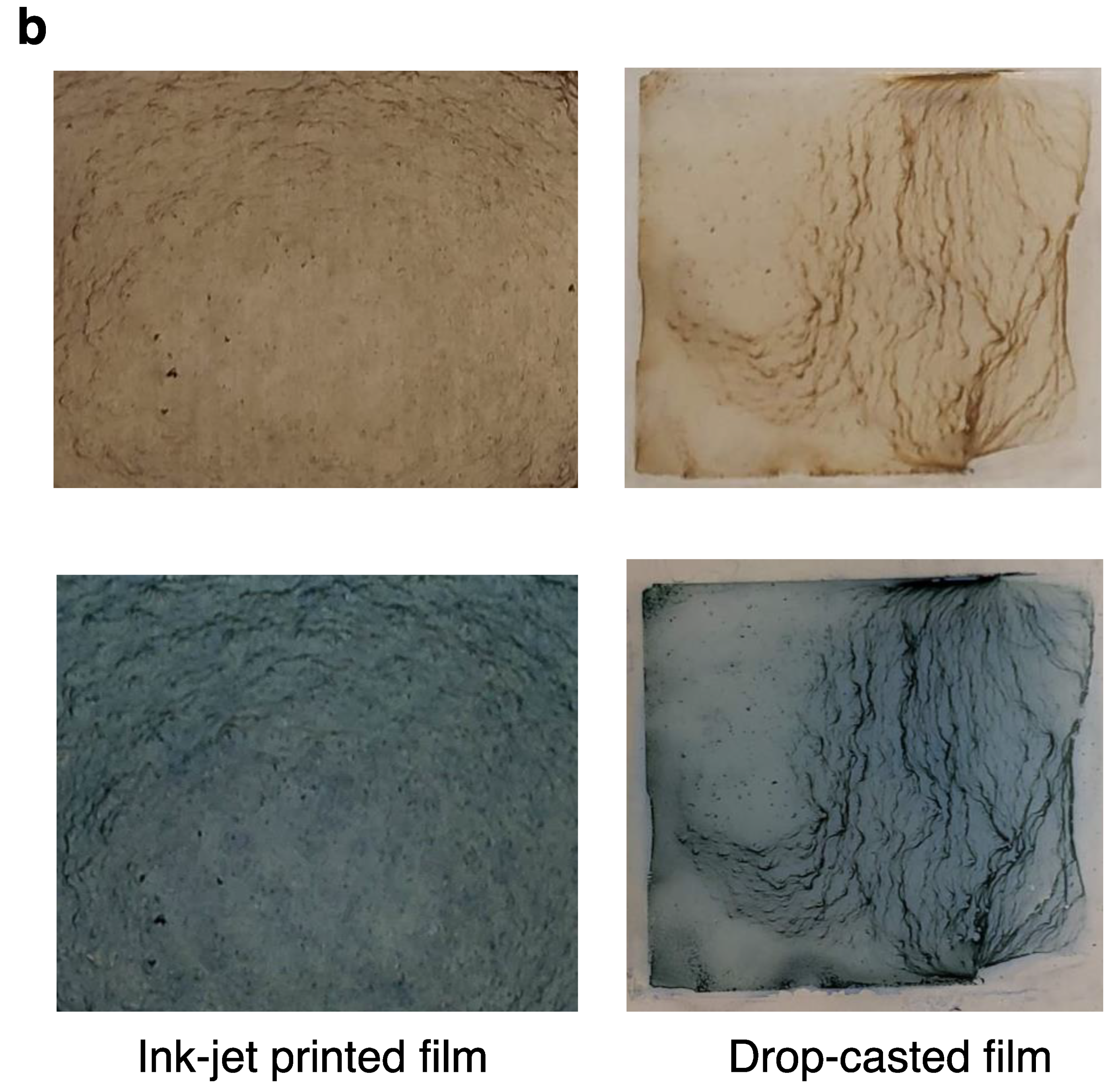 Nanomaterials 10 01840 g006b Nanomaterials 10 01840 g006b