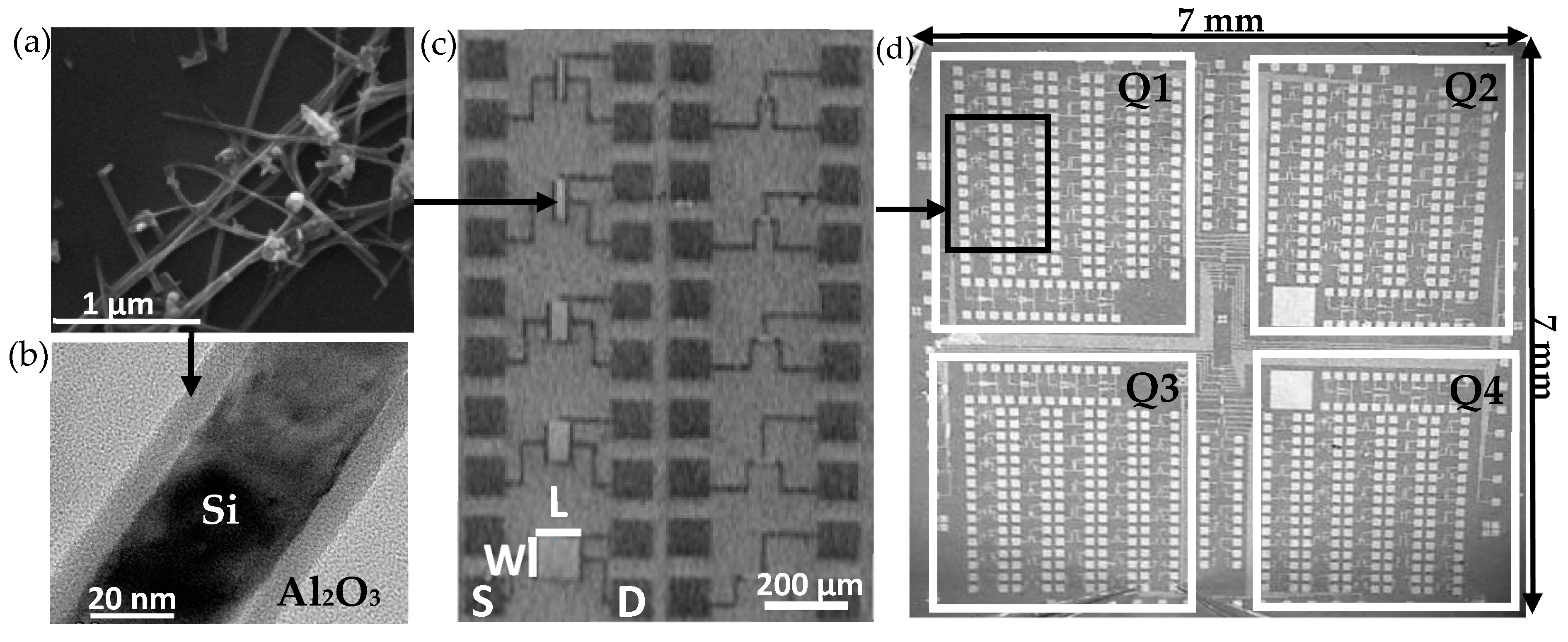 Nanomaterials 10 01842 g001