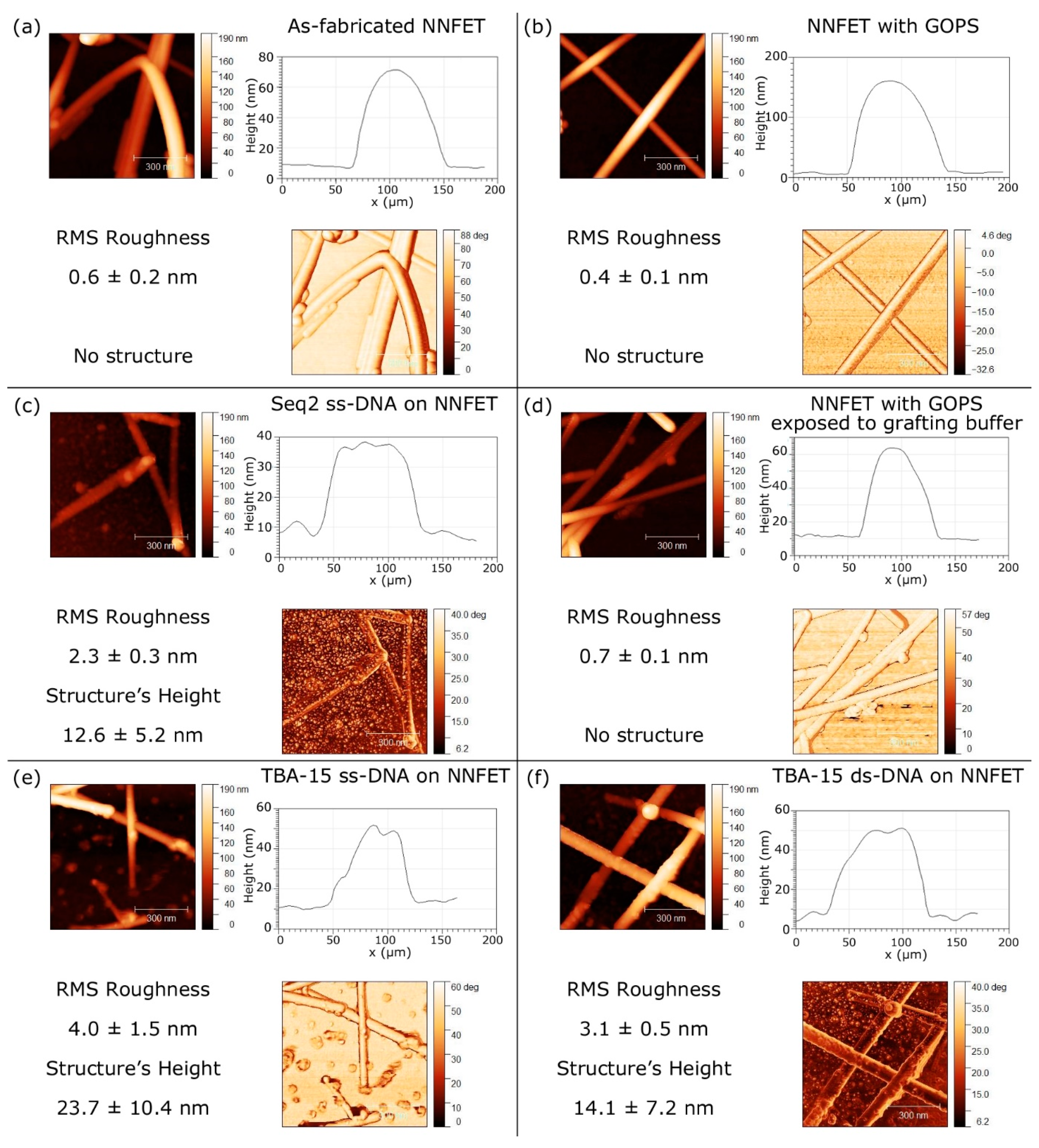 Nanomaterials 10 01842 g005