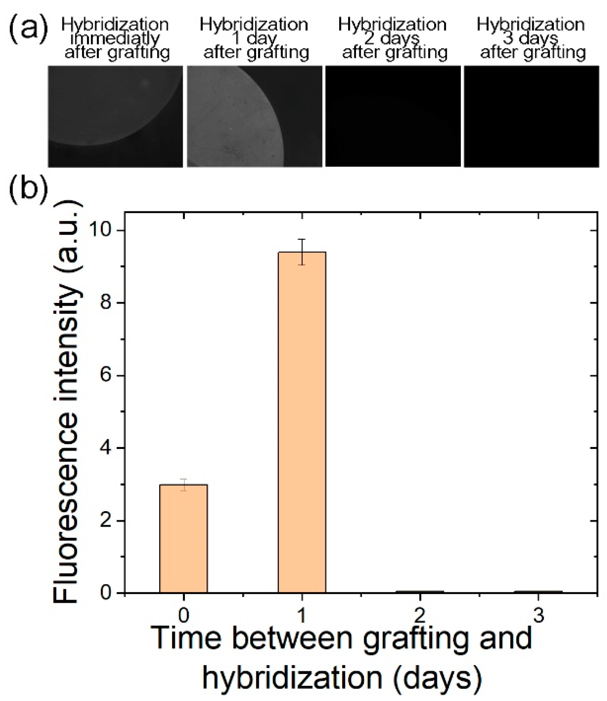 Nanomaterials 10 01842 g008