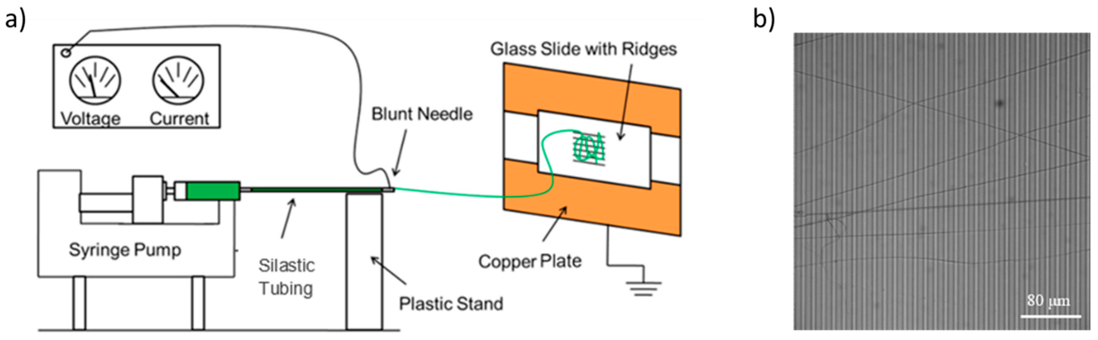 Nanomaterials 10 01843 g001