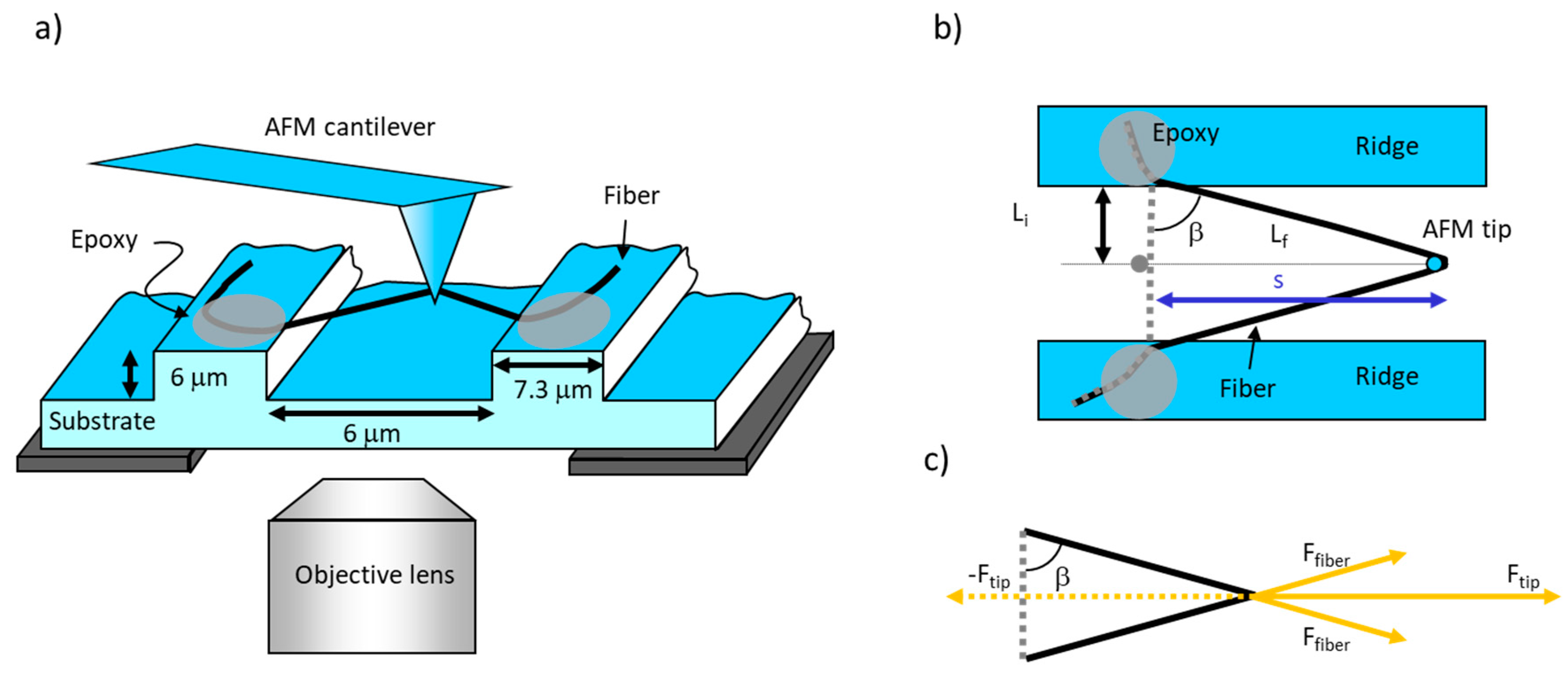 Nanomaterials 10 01843 g003