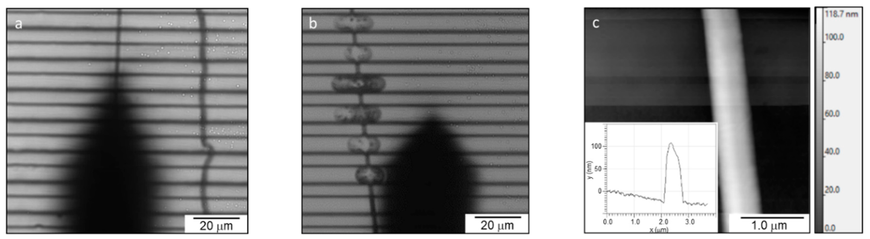 Nanomaterials 10 01843 g005