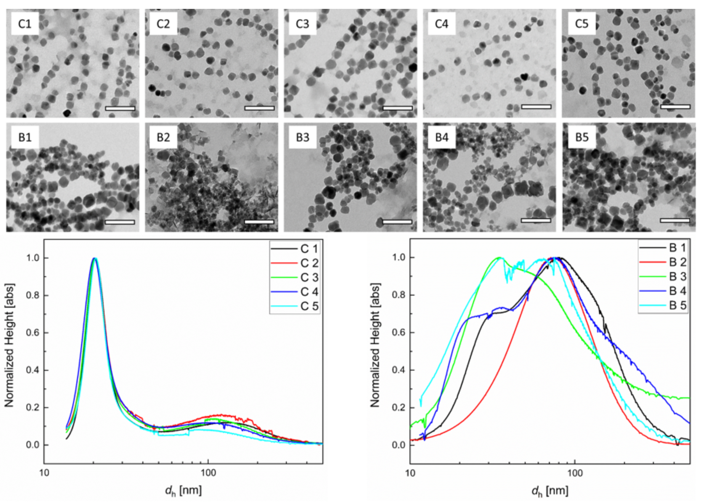 Nanomaterials 10 01845 g001