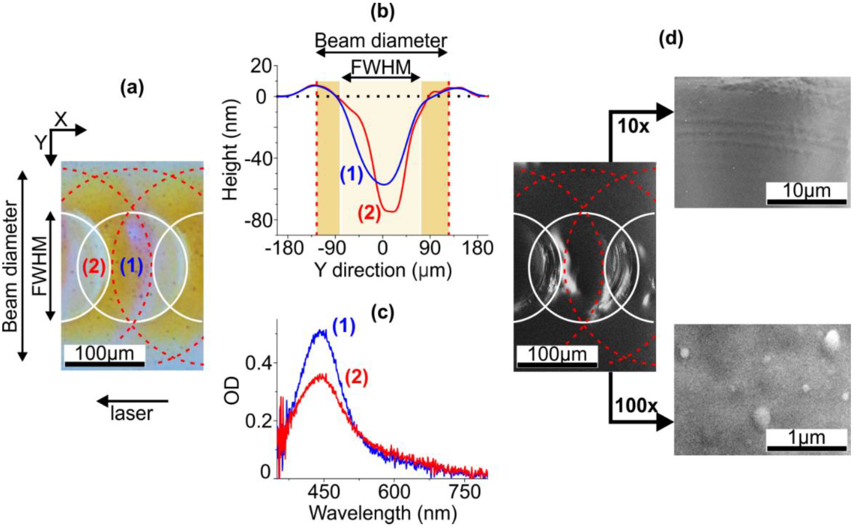 Nanomaterials 10 01849 g001