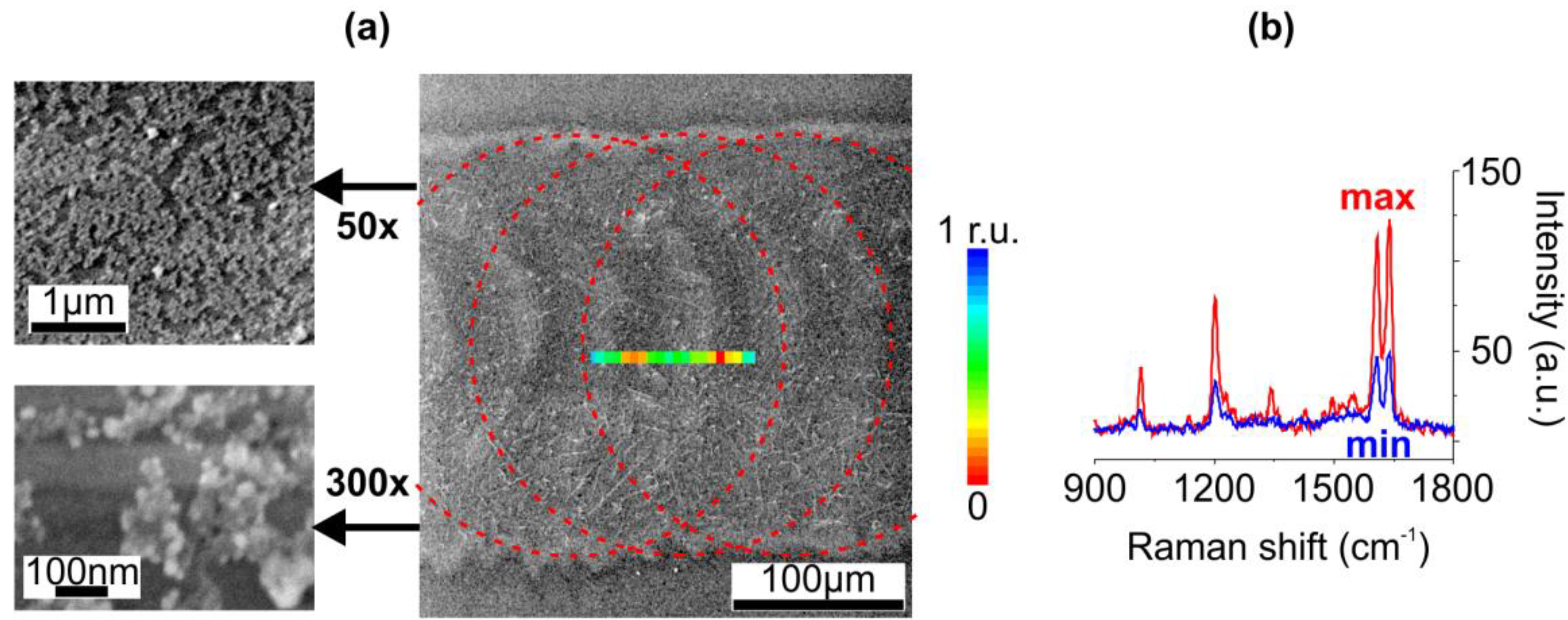 Nanomaterials 10 01849 g003