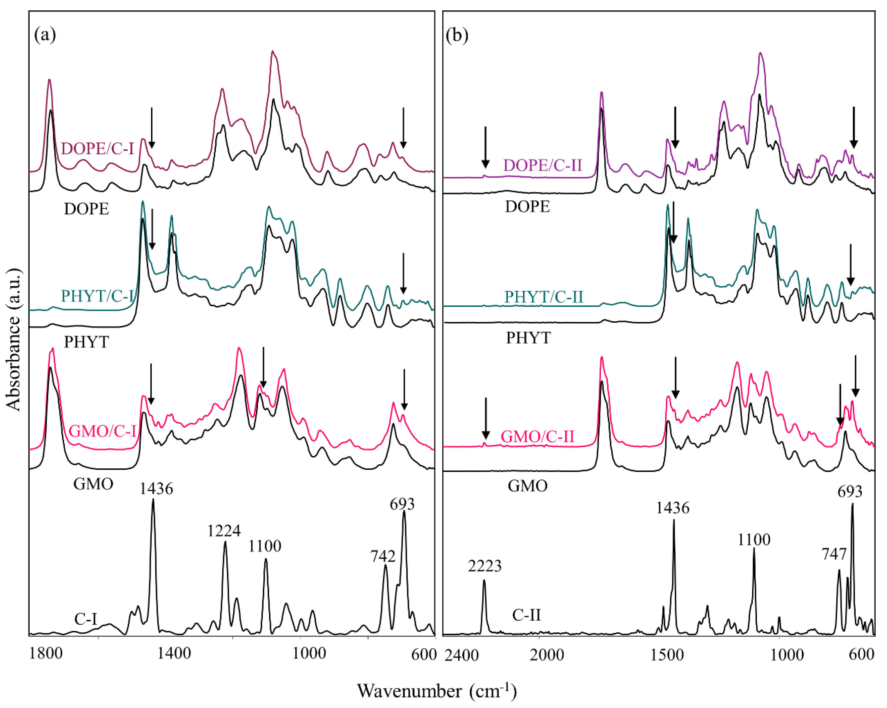 Nanomaterials 10 01851 g006