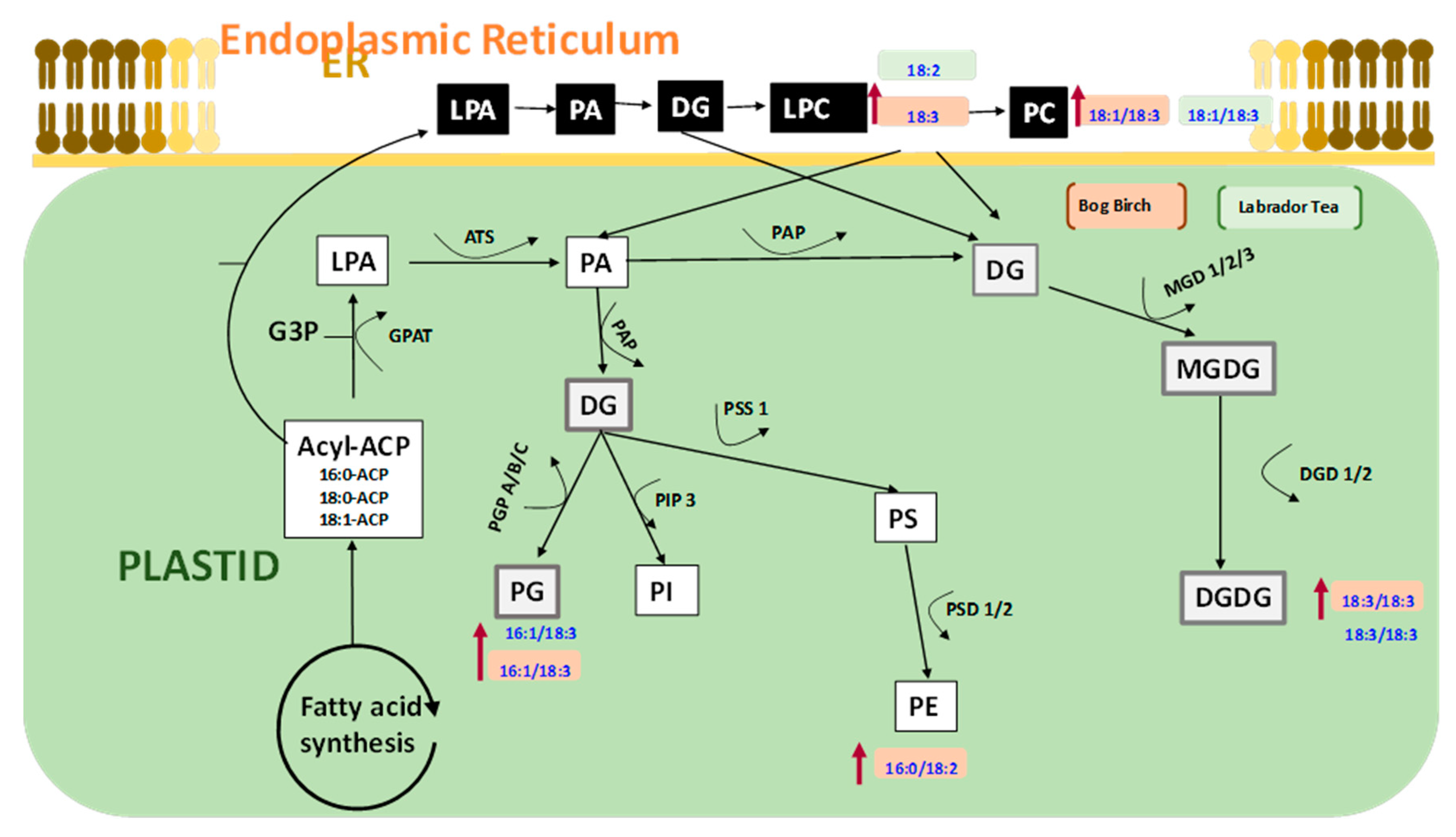 Nanomaterials 10 01852 g009