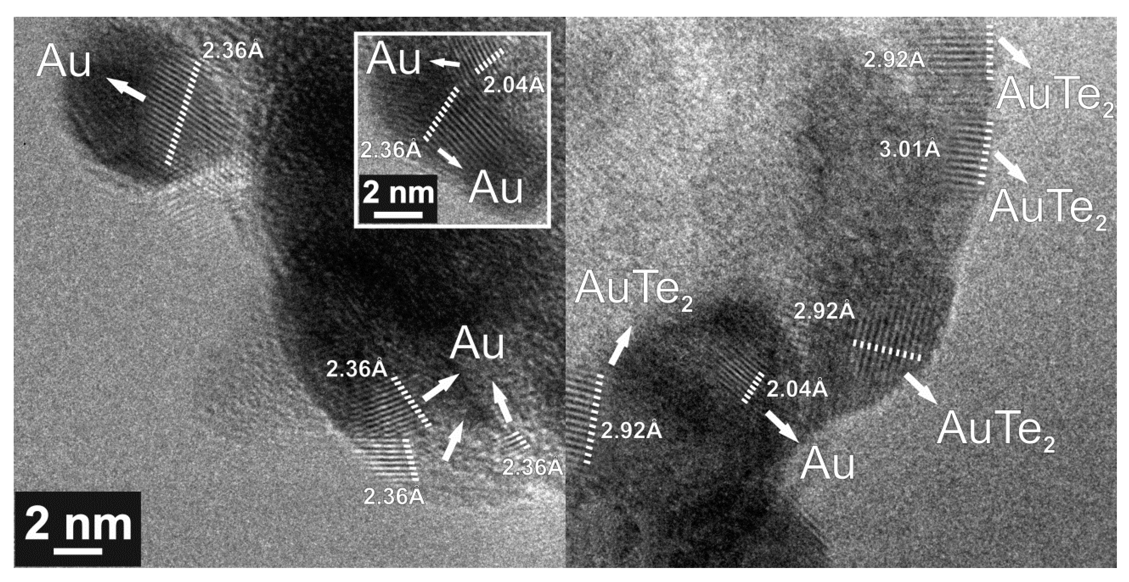 Nanomaterials 10 01863 g006