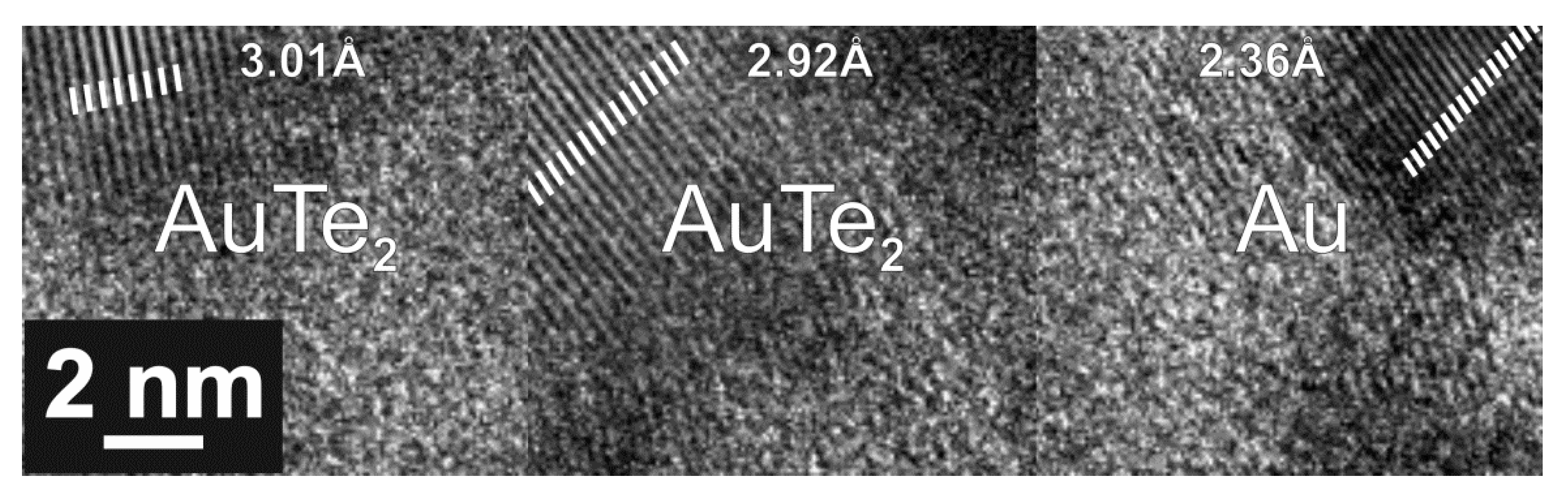Nanomaterials 10 01863 g007
