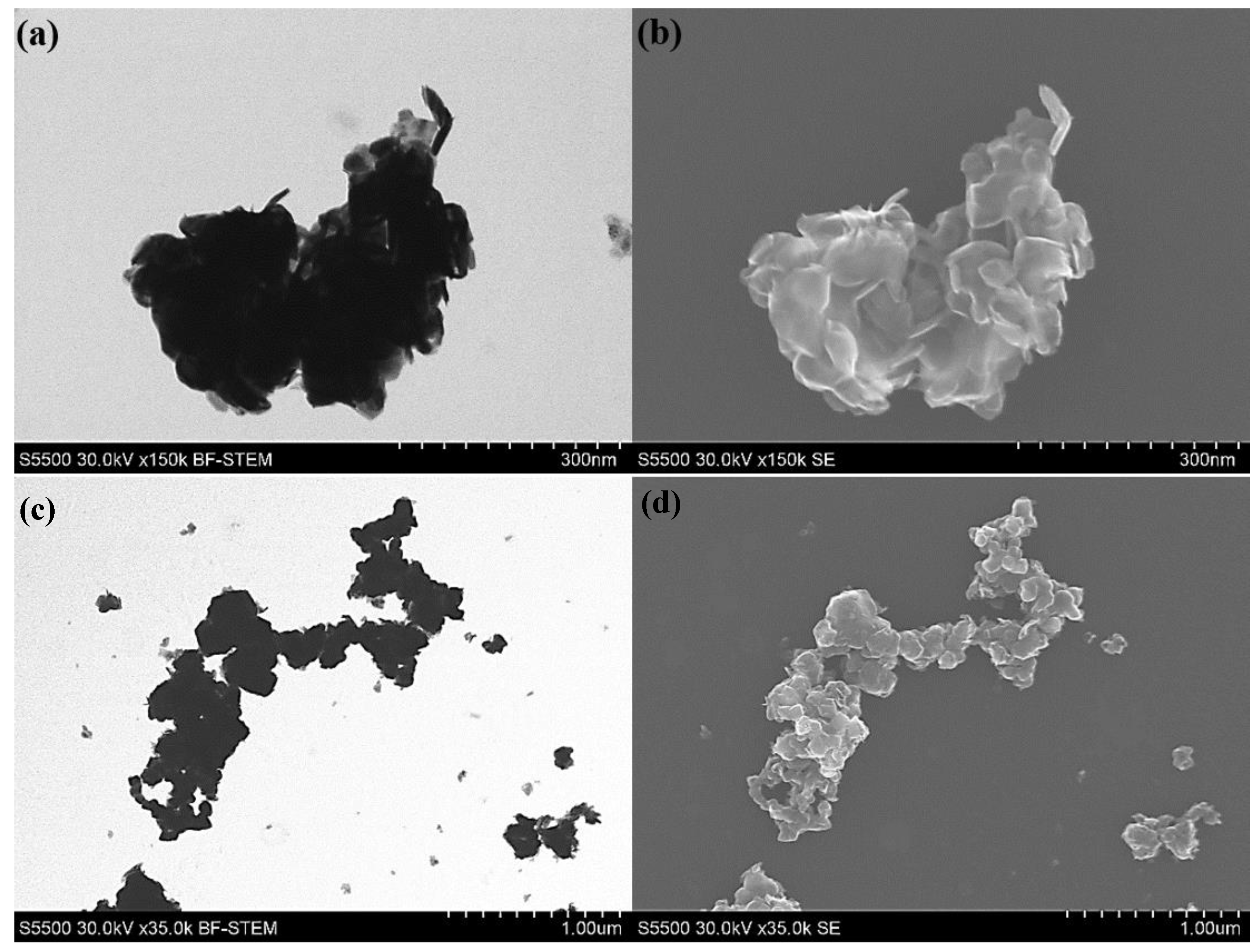 Nanomaterials 10 01865 g008