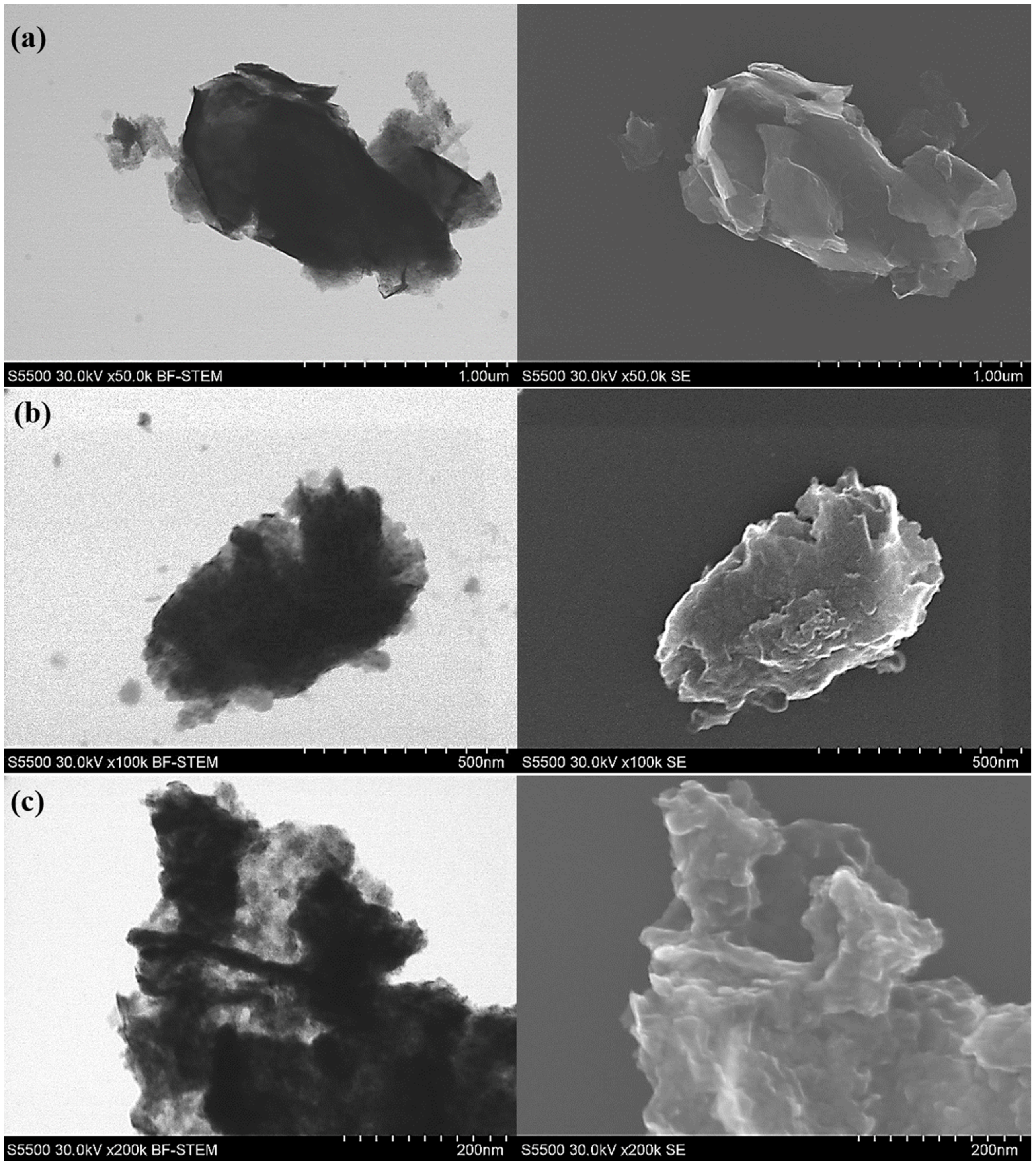 Nanomaterials 10 01865 g009