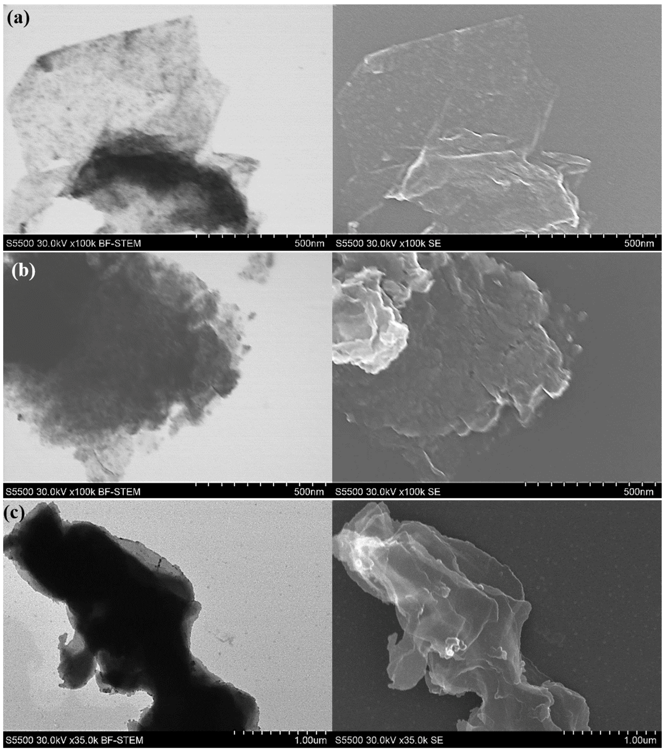 Nanomaterials 10 01865 g010