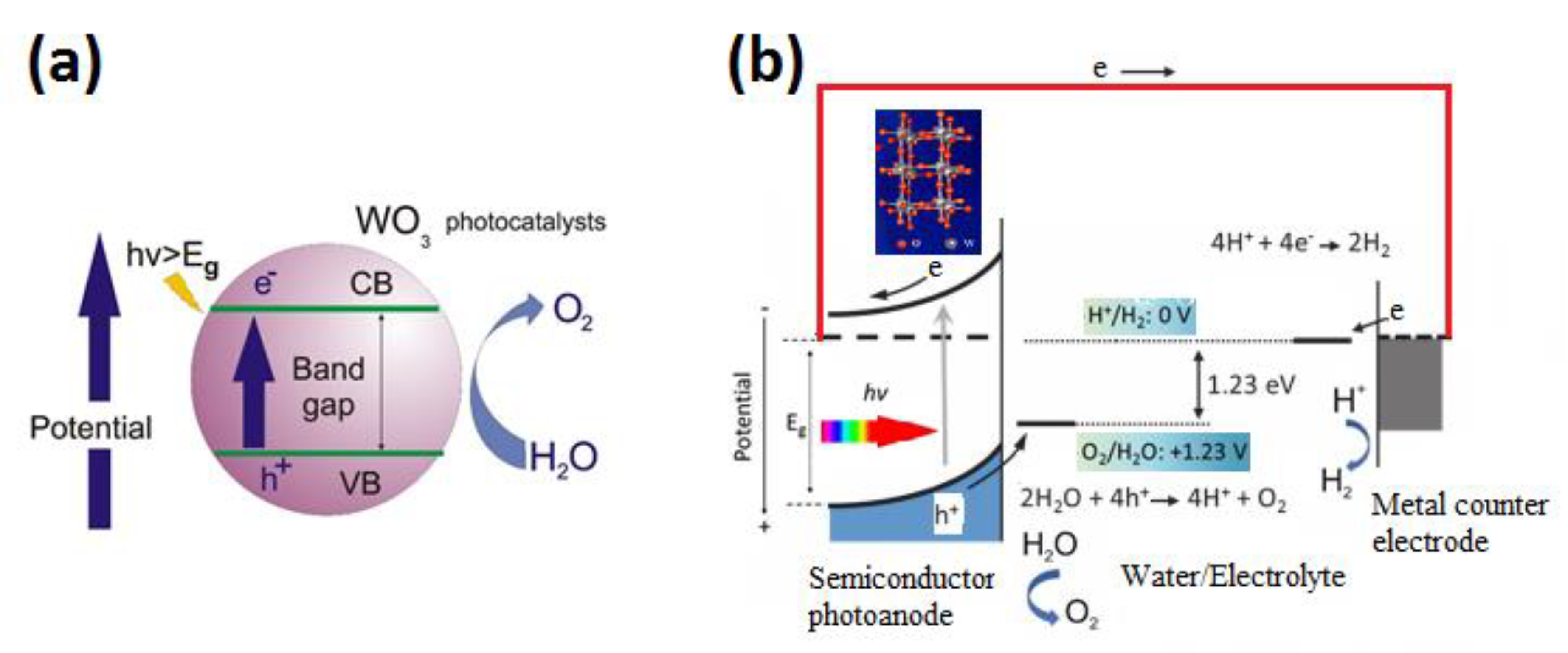 Nanomaterials 10 01871 g002
