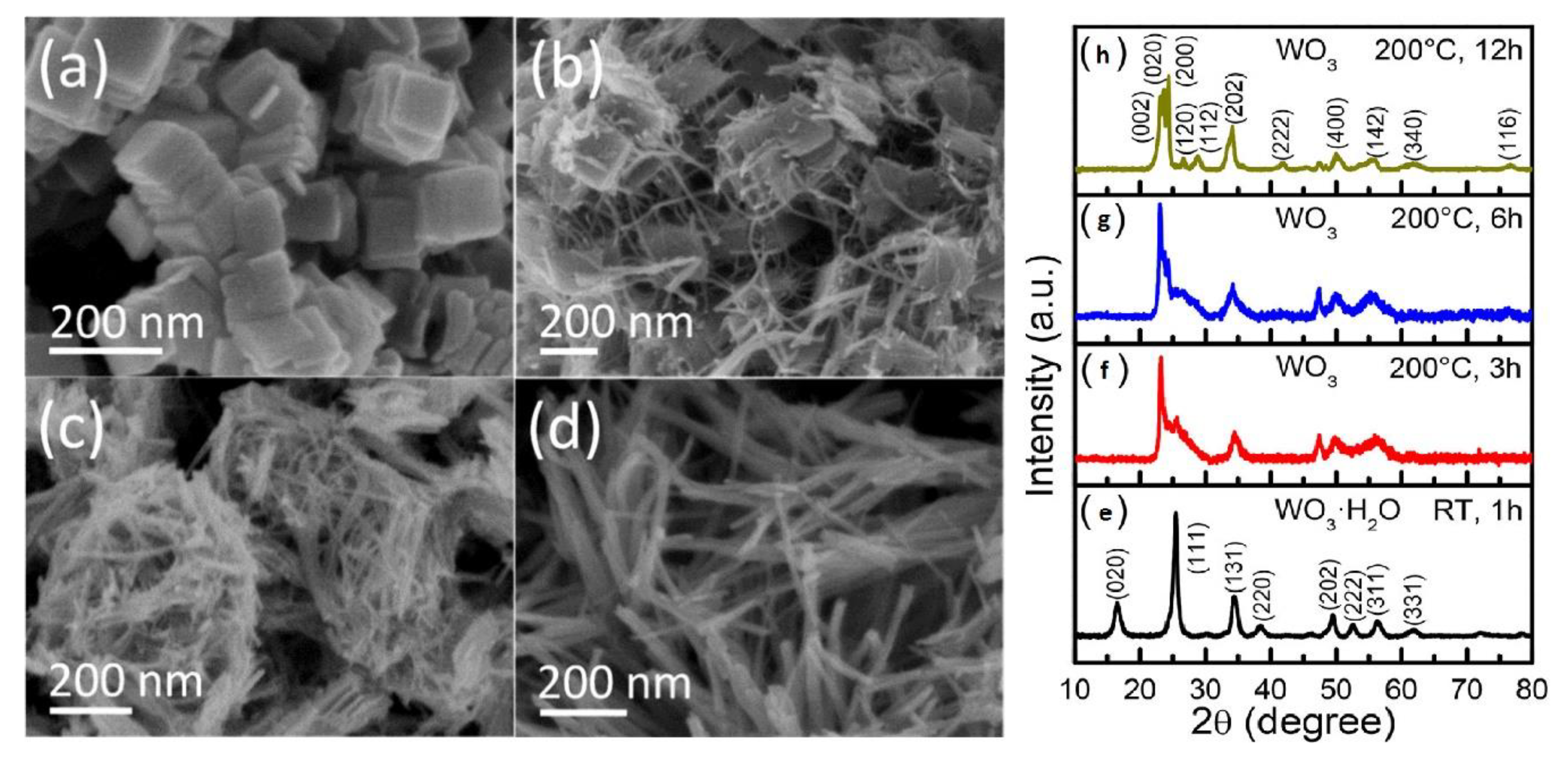 Nanomaterials 10 01871 g007