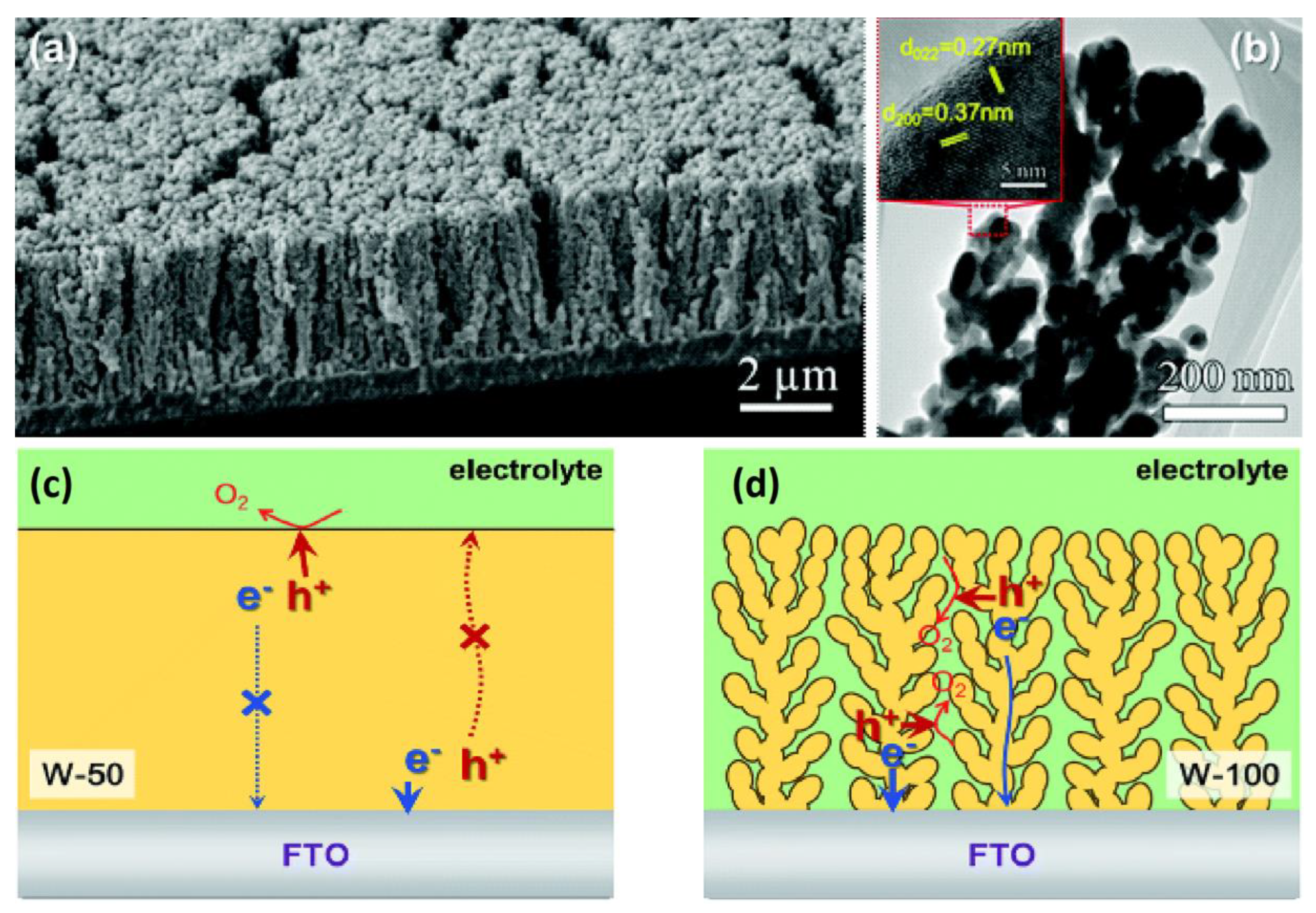 Nanomaterials 10 01871 g010