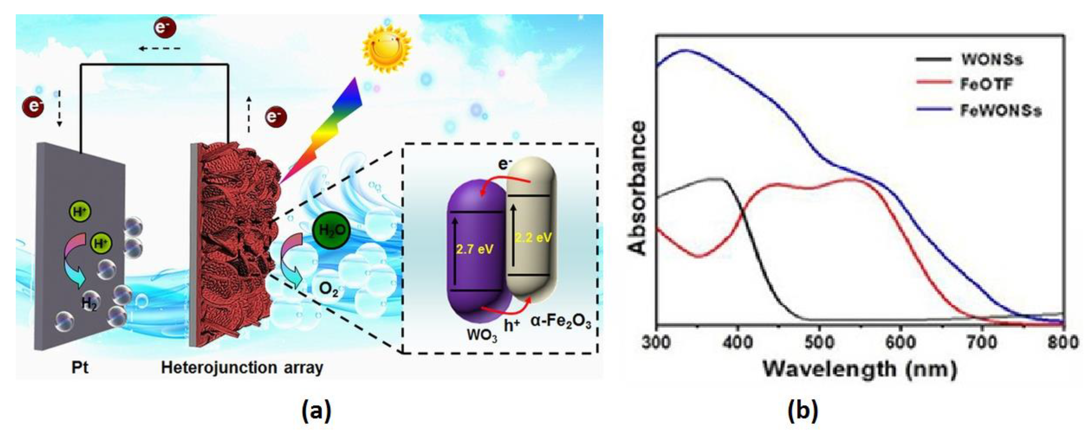 Nanomaterials 10 01871 g012