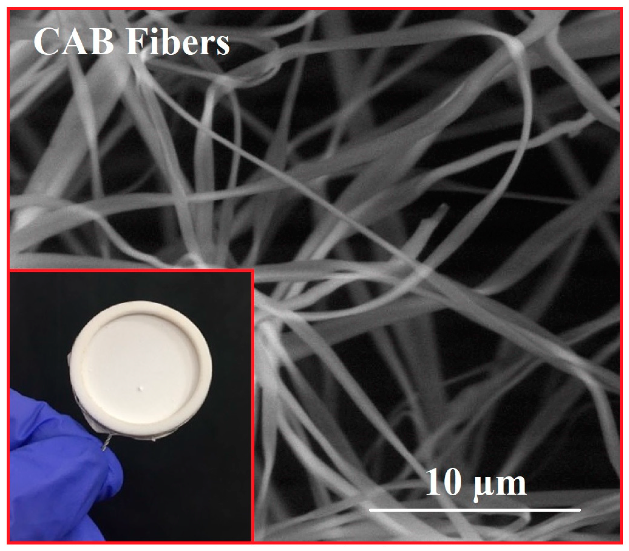 Nanomaterials 10 01873 g003
