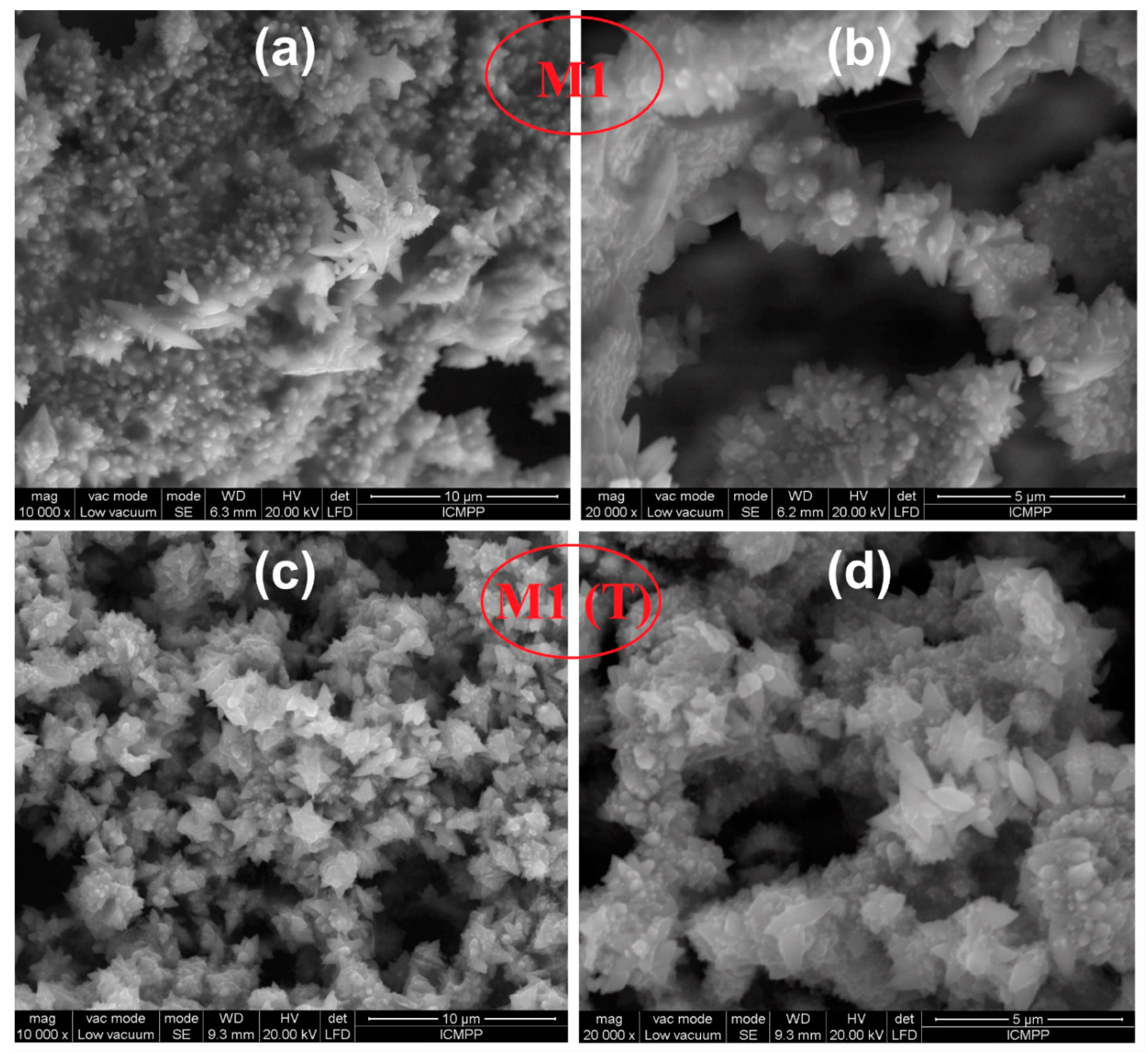 Nanomaterials 10 01873 g004