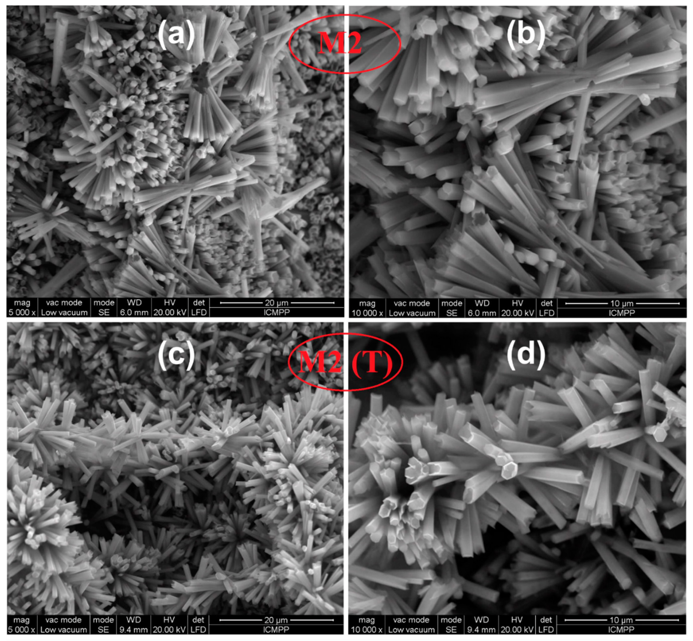 Nanomaterials 10 01873 g005