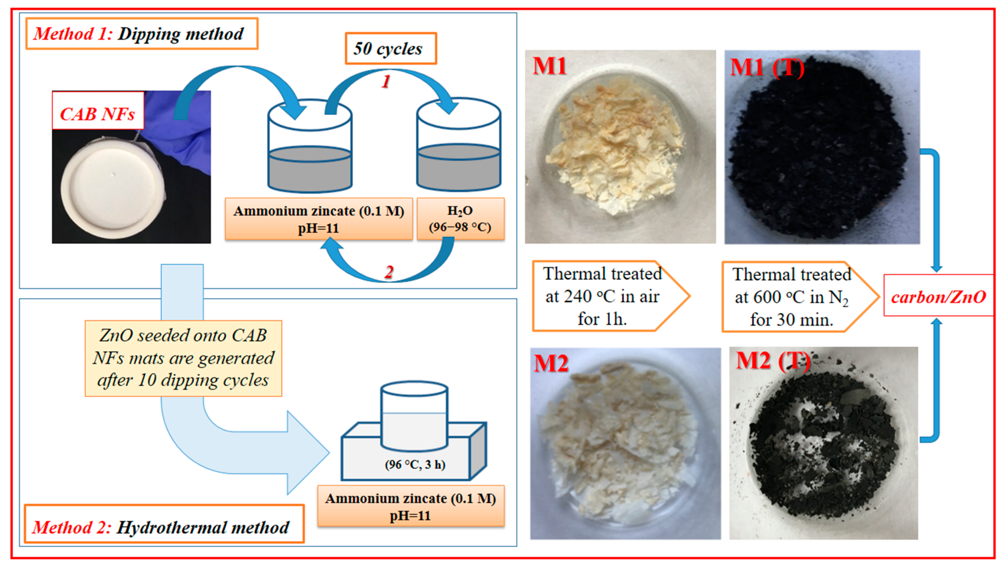 Nanomaterials 10 01873 sch001