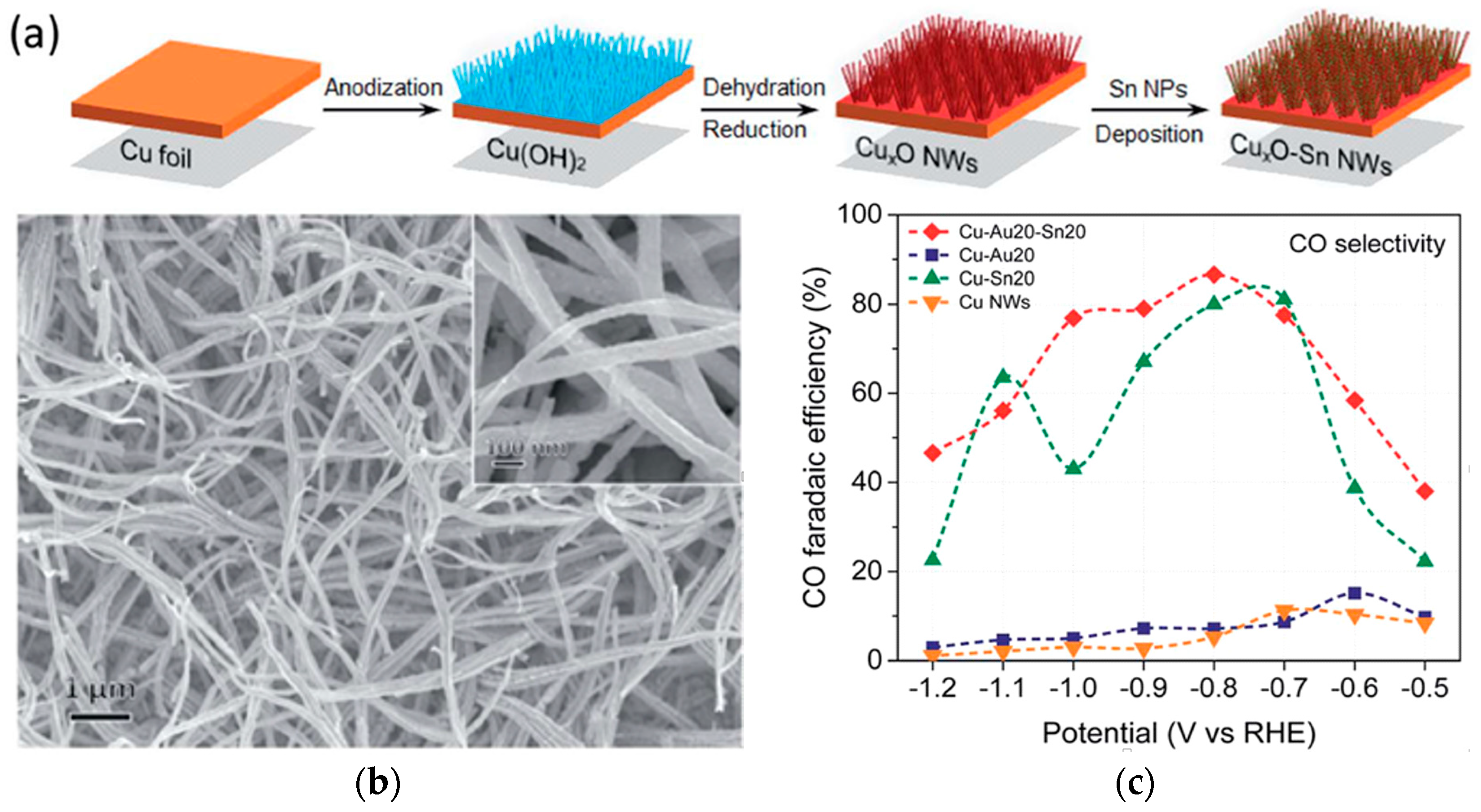 Nanomaterials 10 01884 g009 Nanomaterials 10 01884 g009