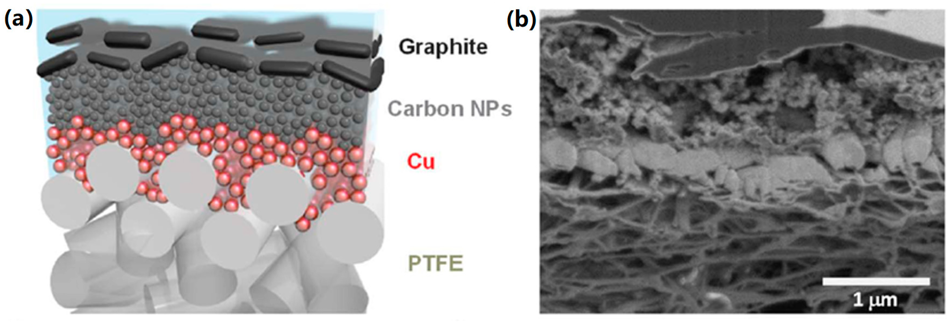 Nanomaterials 10 01884 g013 Nanomaterials 10 01884 g013