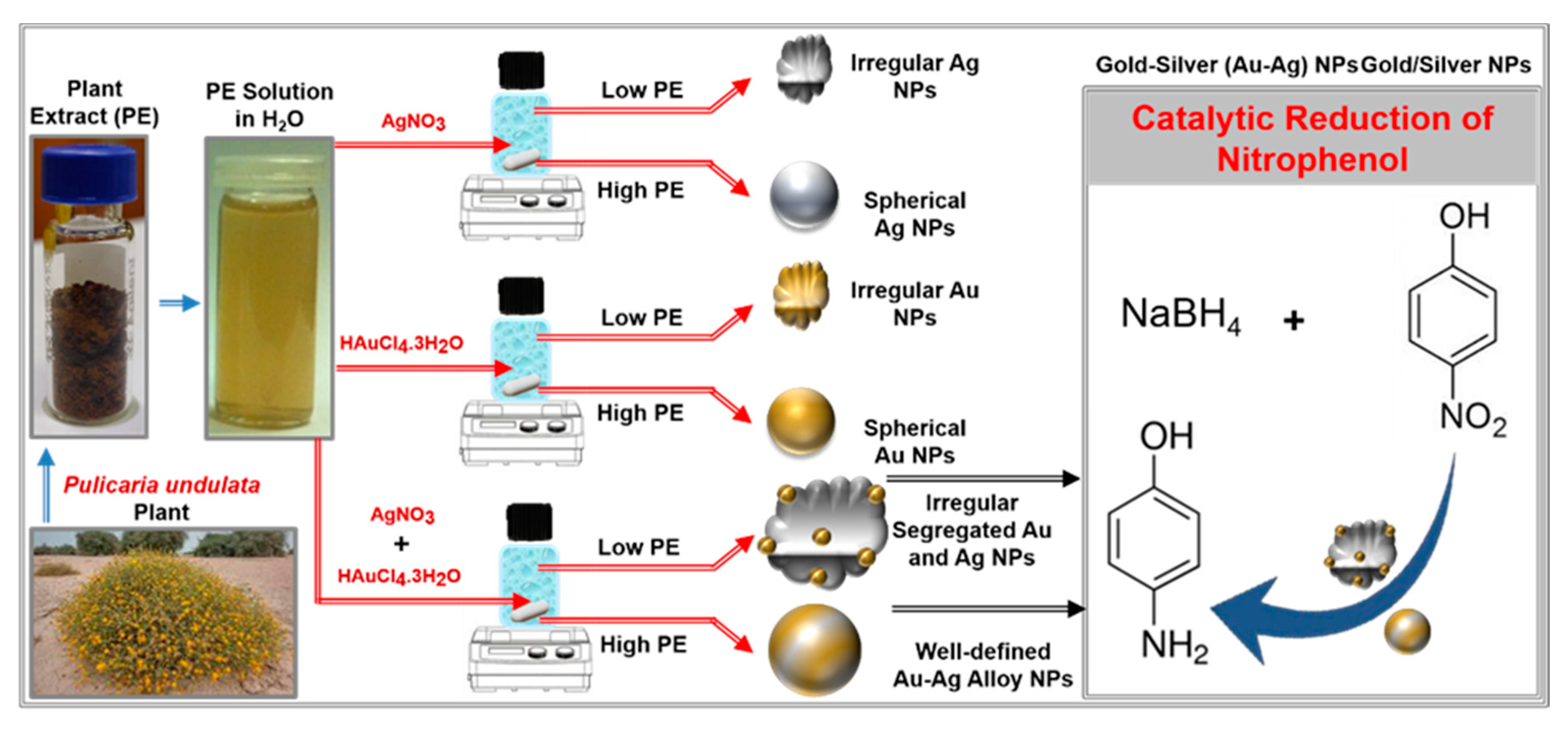Nanomaterials 10 01885 sch001