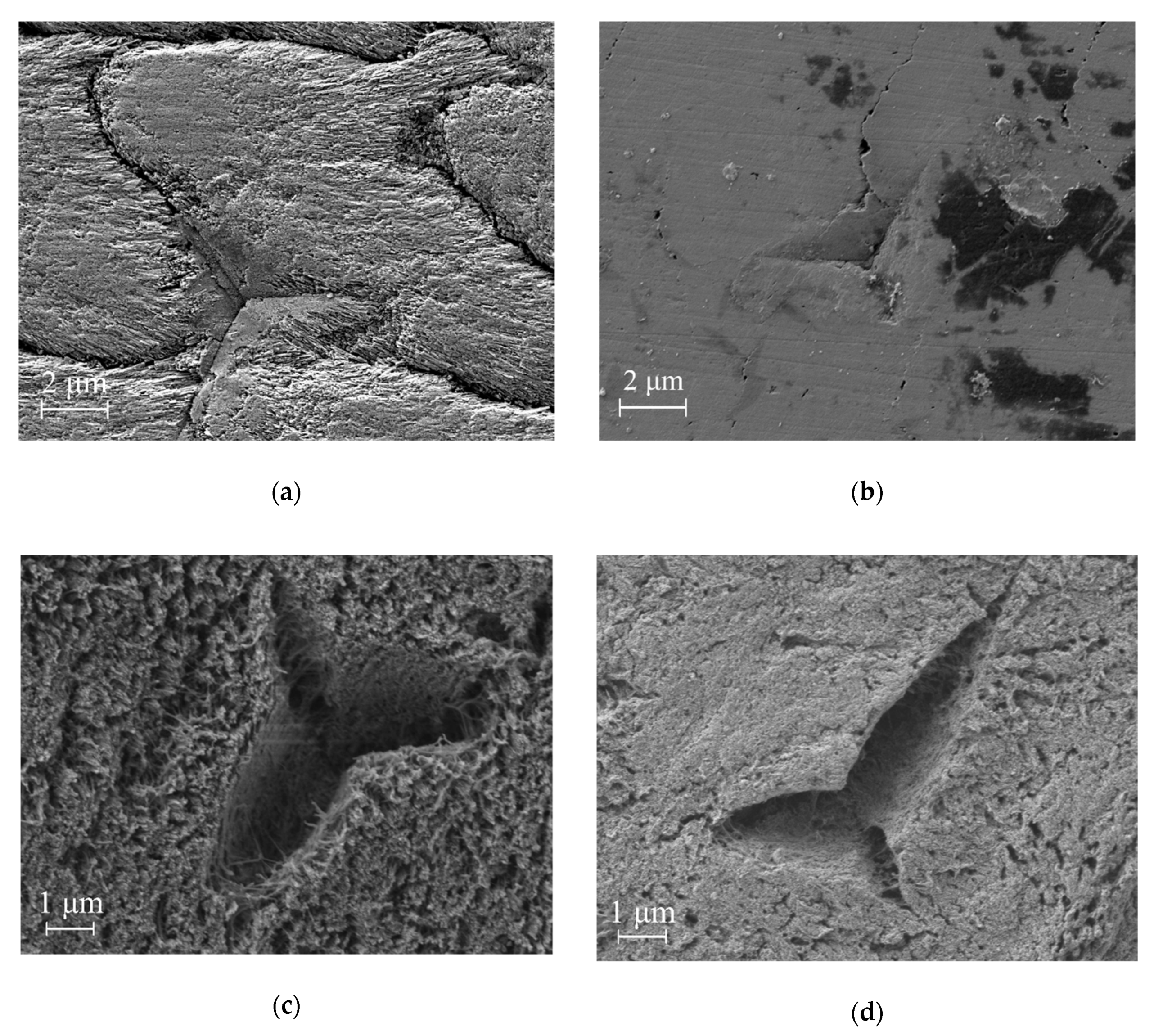 Nanomaterials 10 01889 g007 Nanomaterials 10 01889 g007