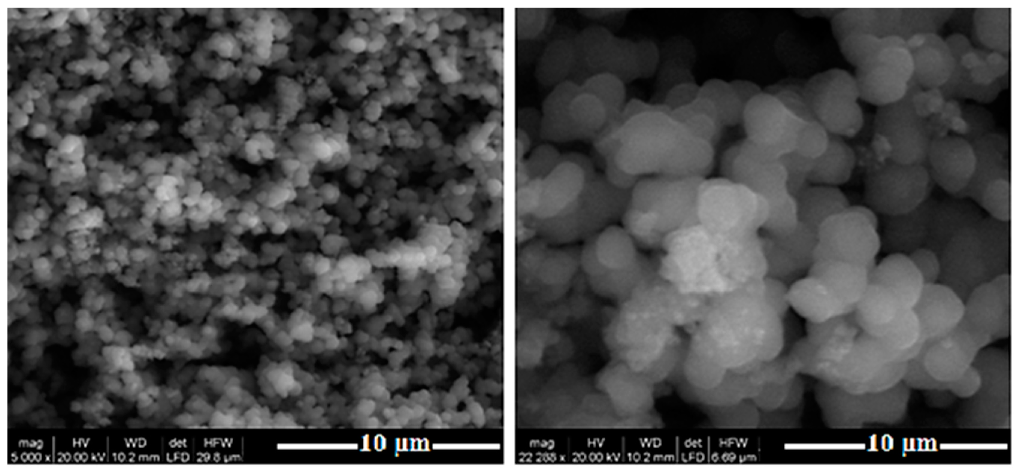 Nanomaterials 10 01891 g003