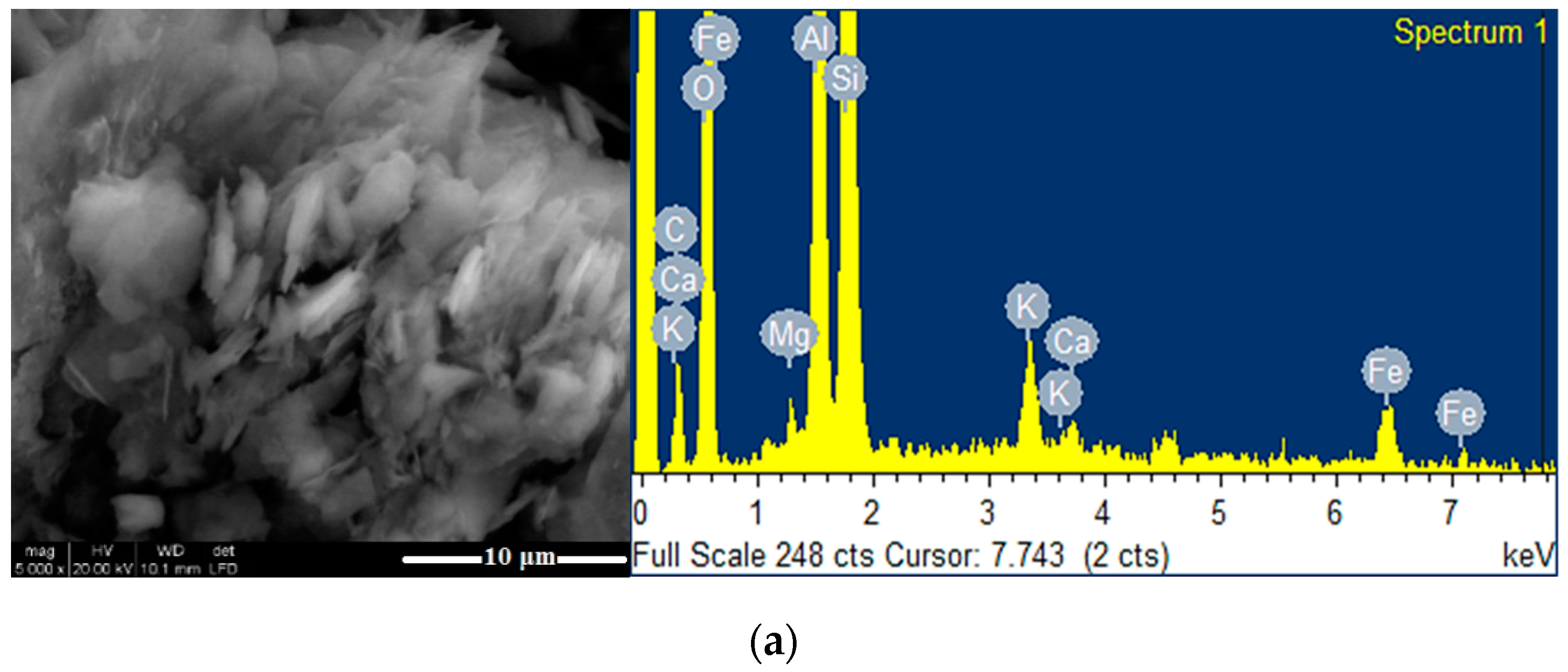 Nanomaterials 10 01891 g013a