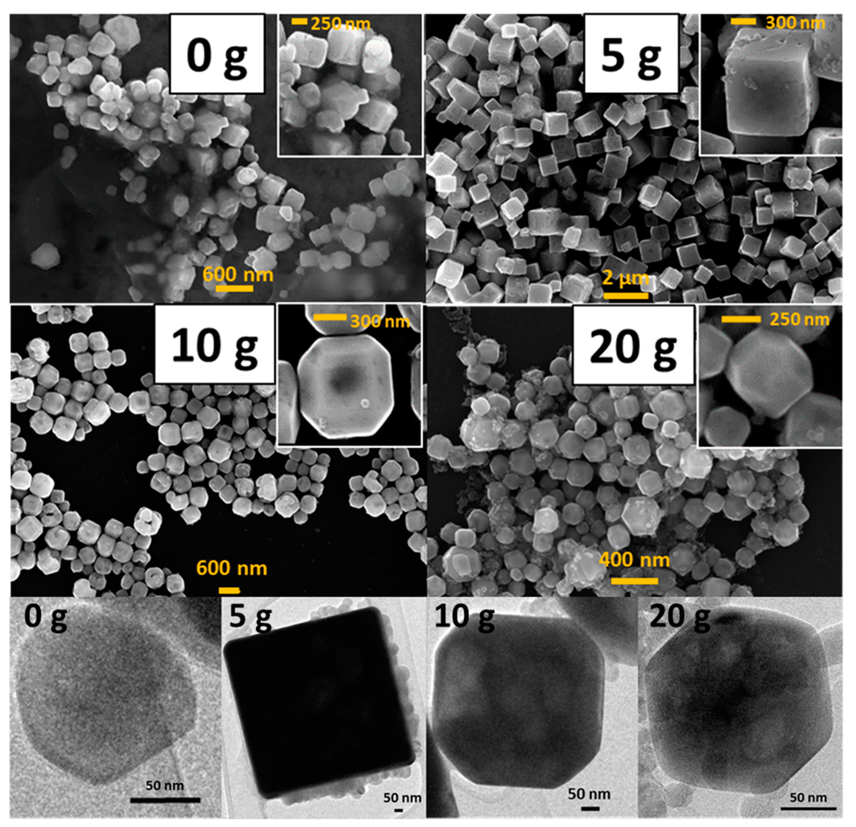 Nanomaterials 10 01892 g003