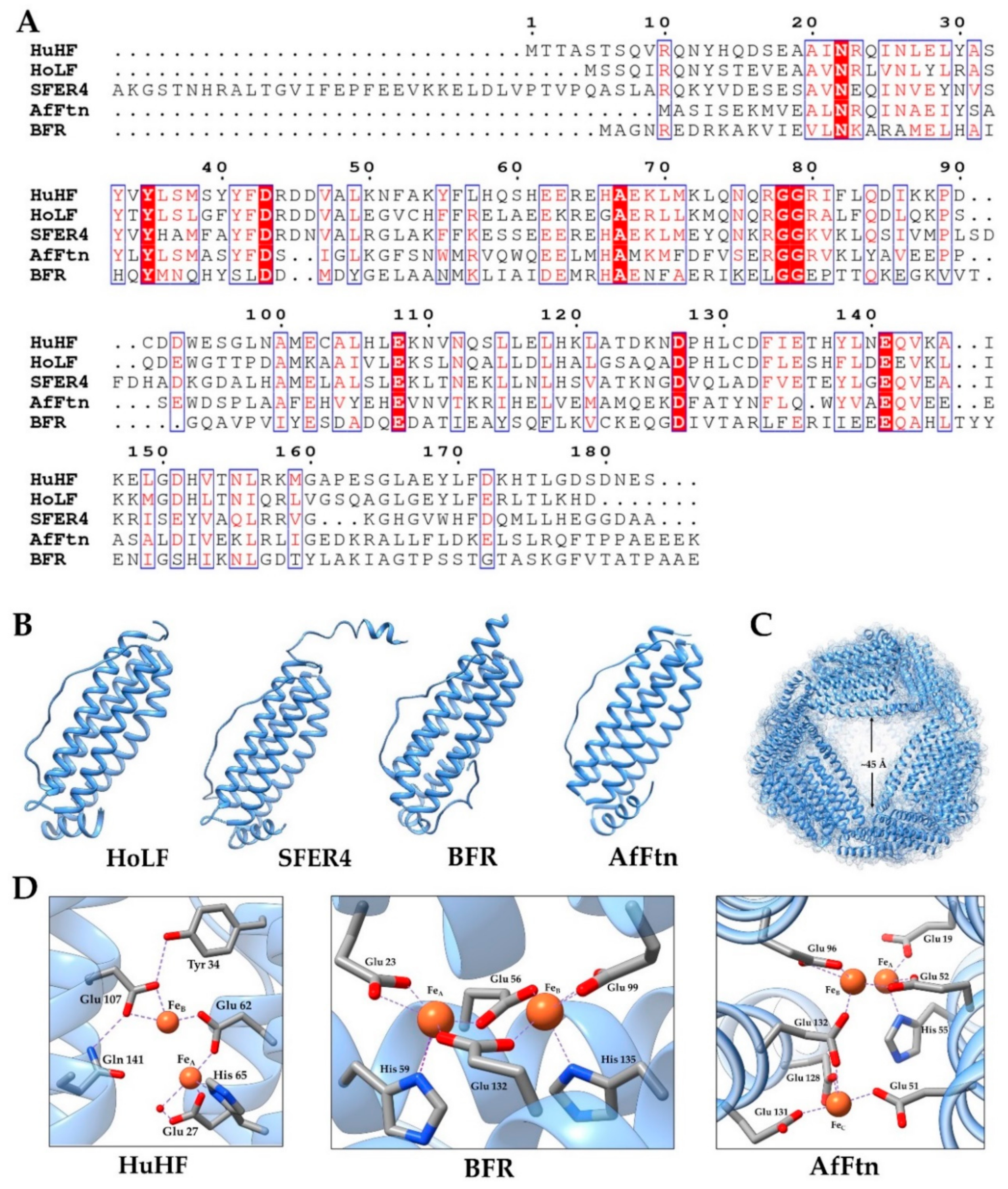 Nanomaterials 10 01894 g002 Nanomaterials 10 01894 g002