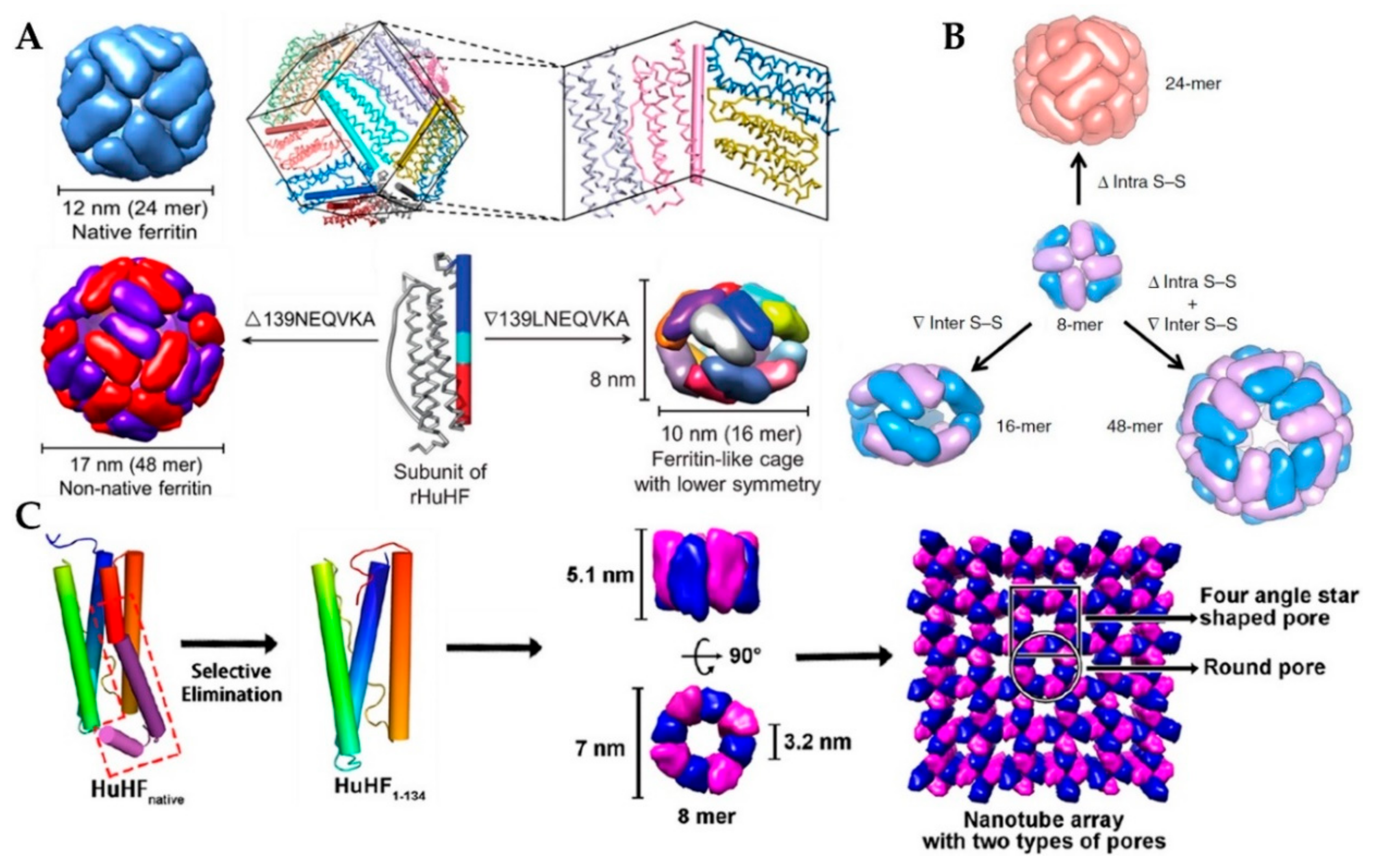 Nanomaterials 10 01894 g003 Nanomaterials 10 01894 g003