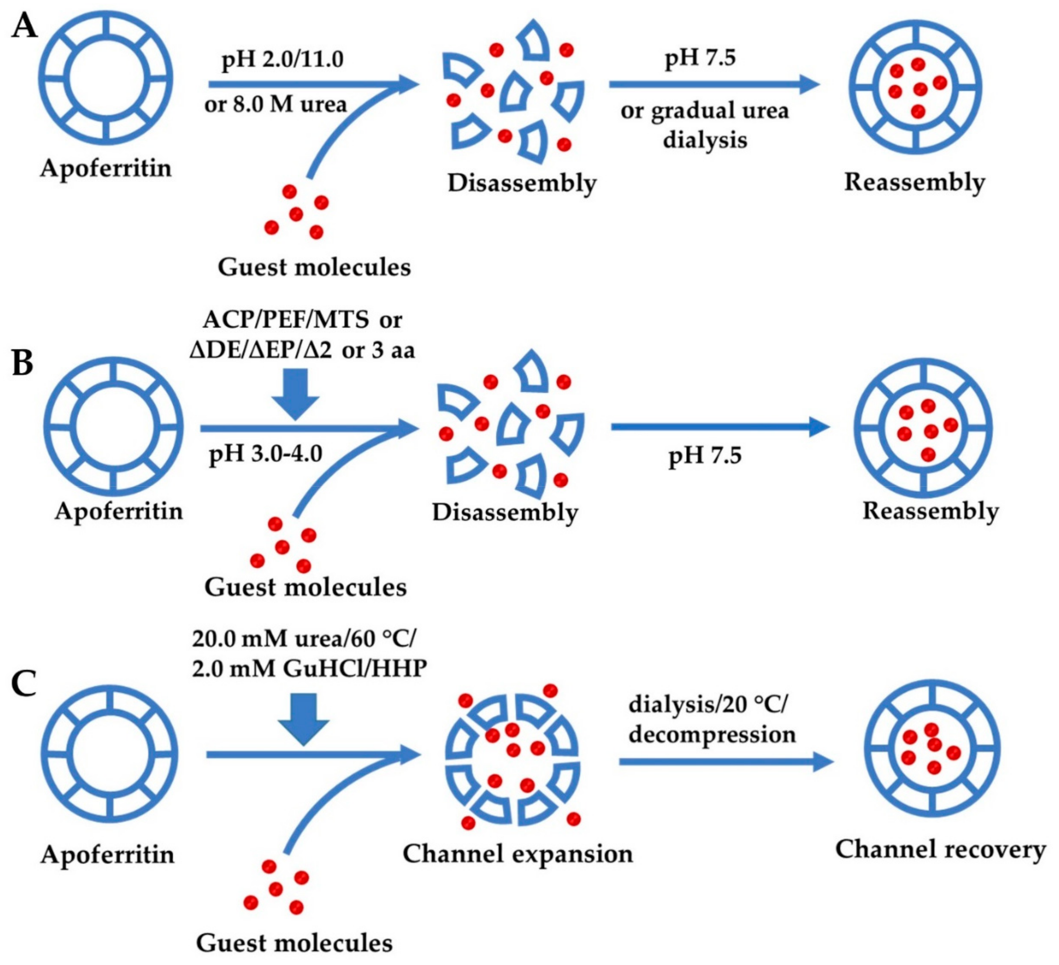 Nanomaterials 10 01894 g004 Nanomaterials 10 01894 g004