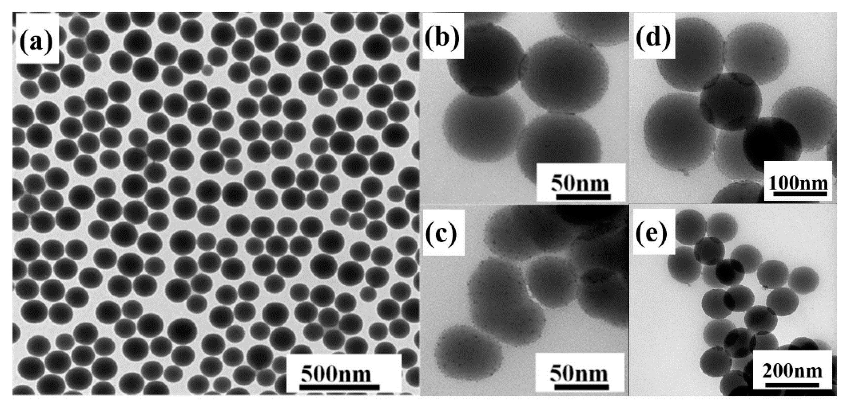 Nanomaterials 10 01964 g003