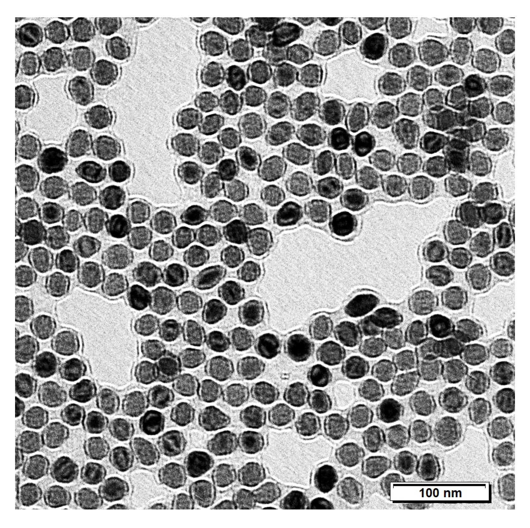 Nanomaterials 10 01993 g001
