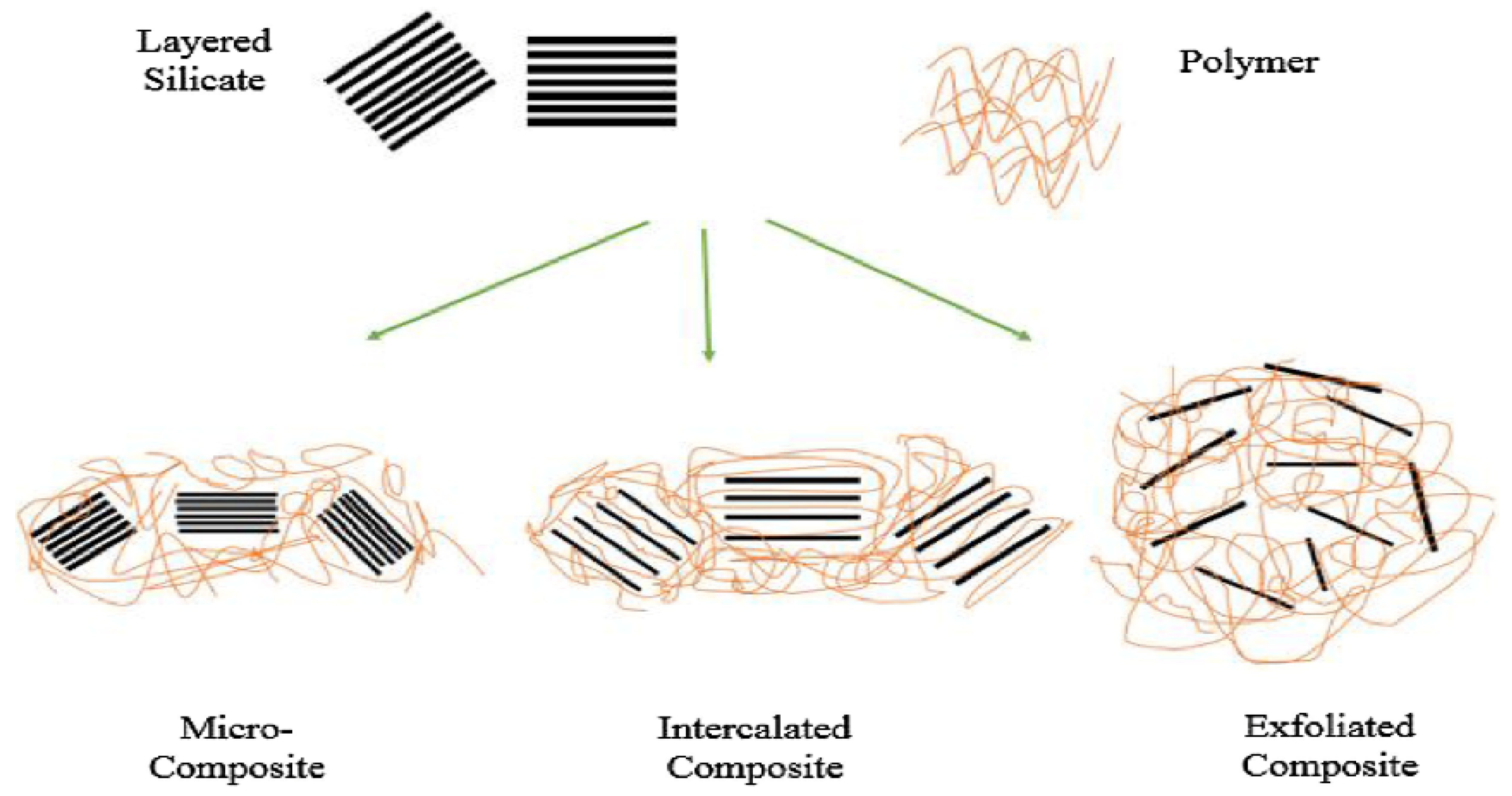 Nanomaterials 10 02004 g008