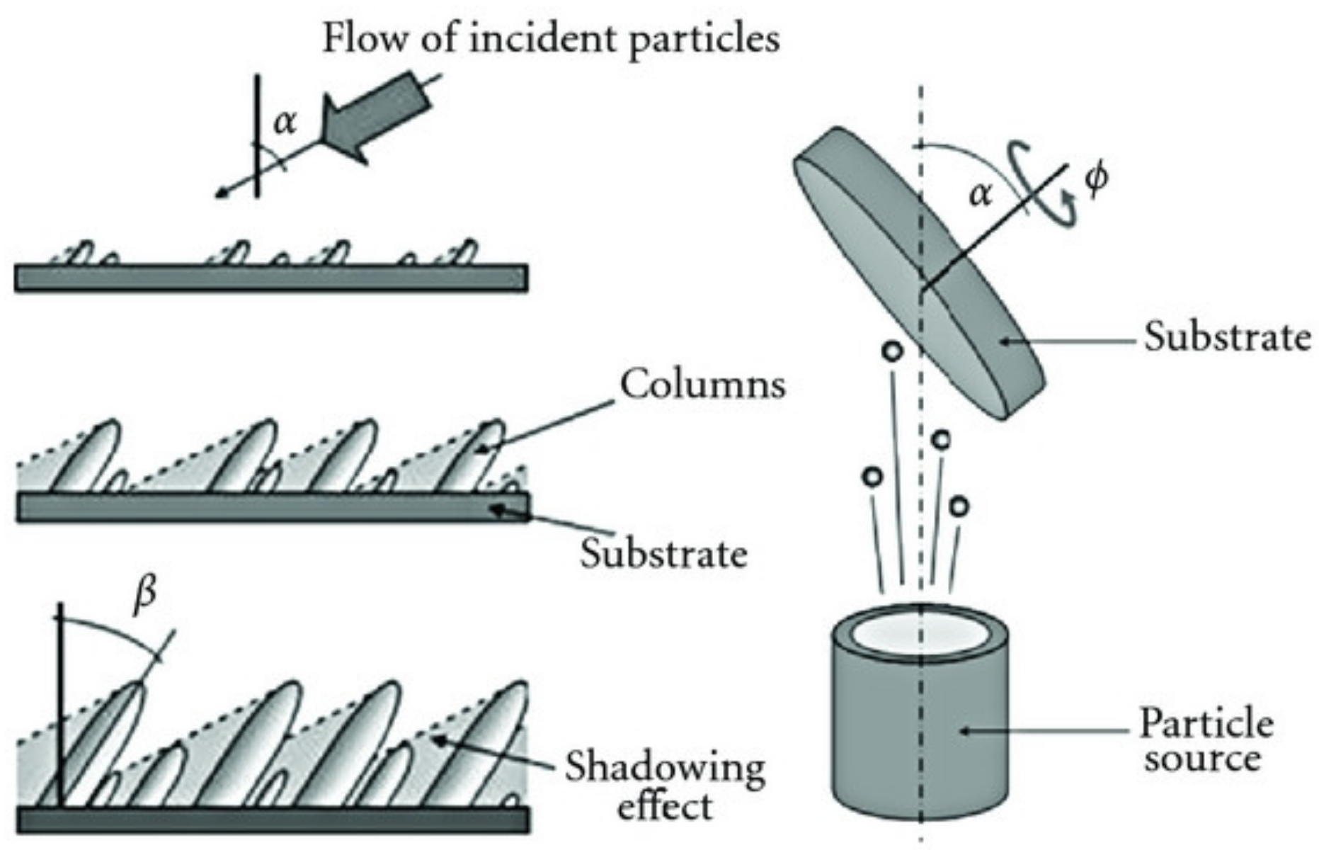 Nanomaterials 10 02039 g001