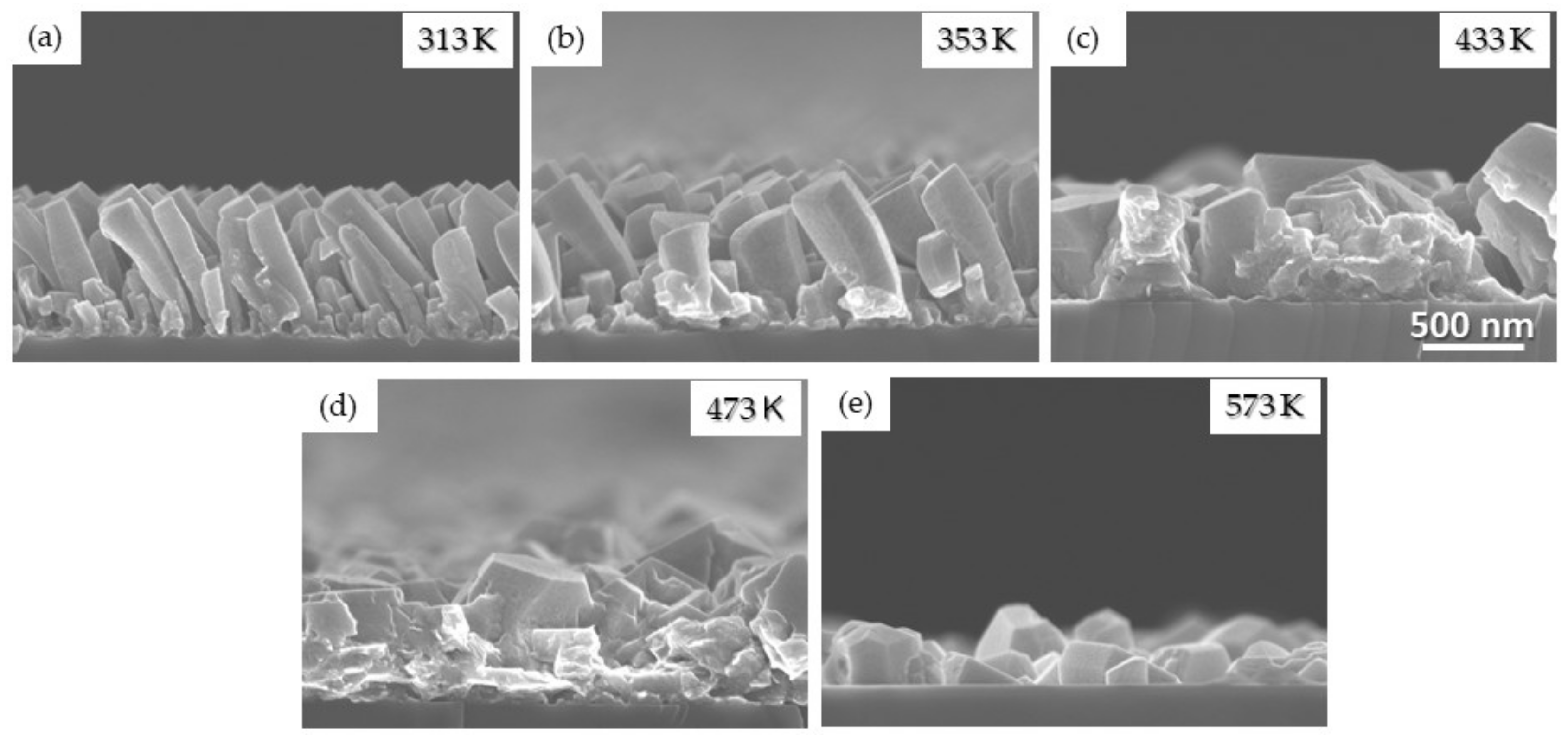 Nanomaterials 10 02039 g009