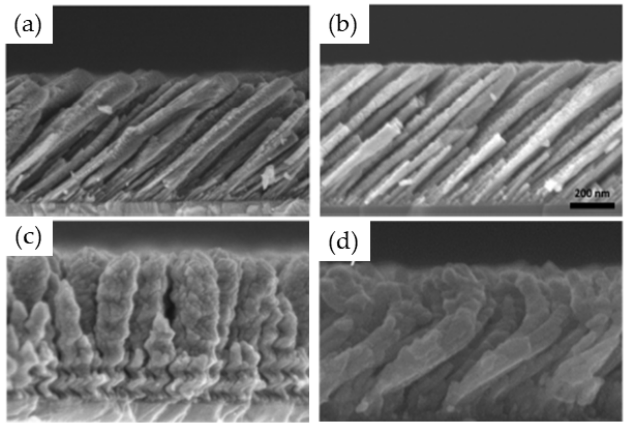 Nanomaterials 10 02039 g014