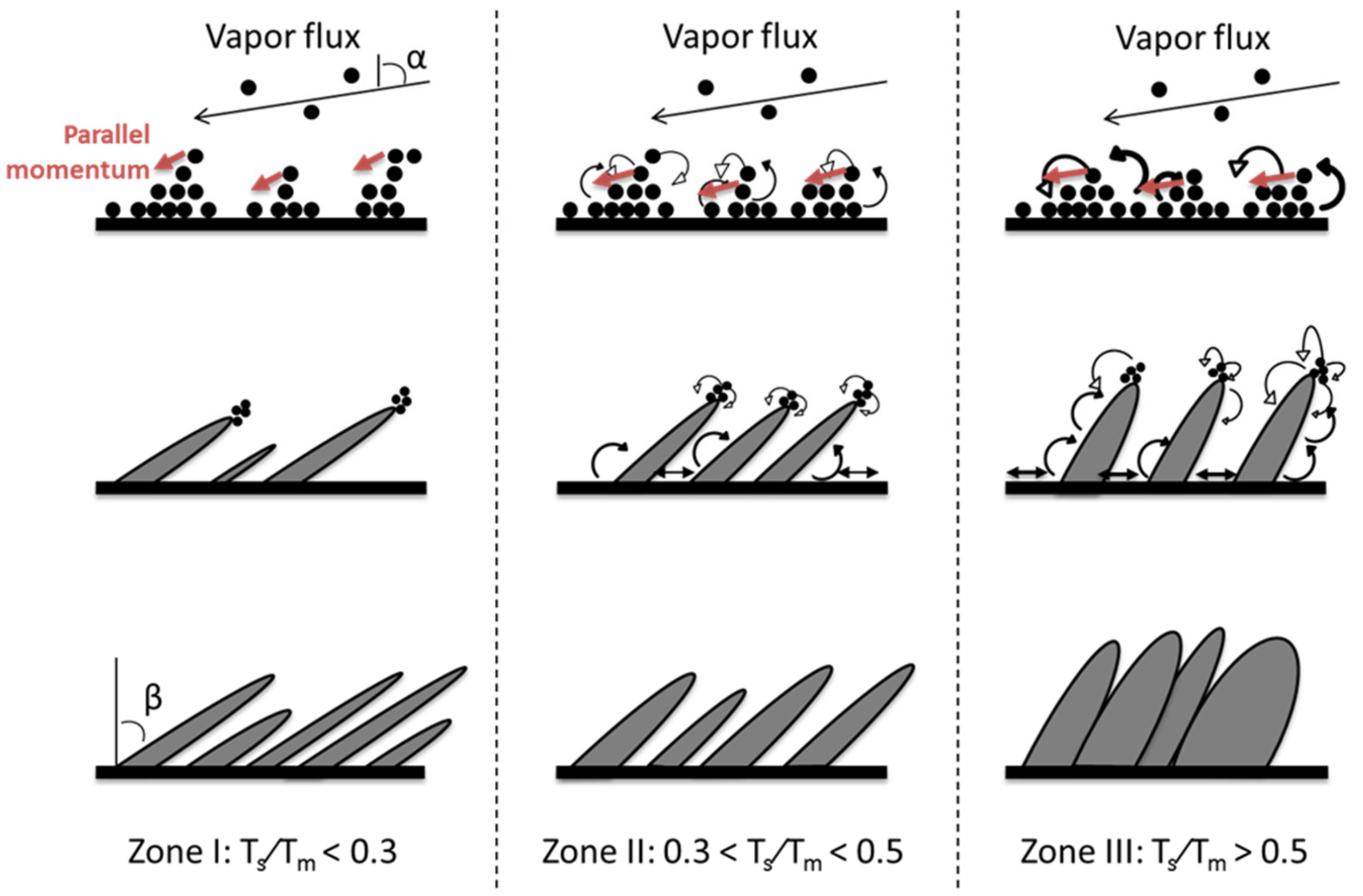 Nanomaterials 10 02039 g016